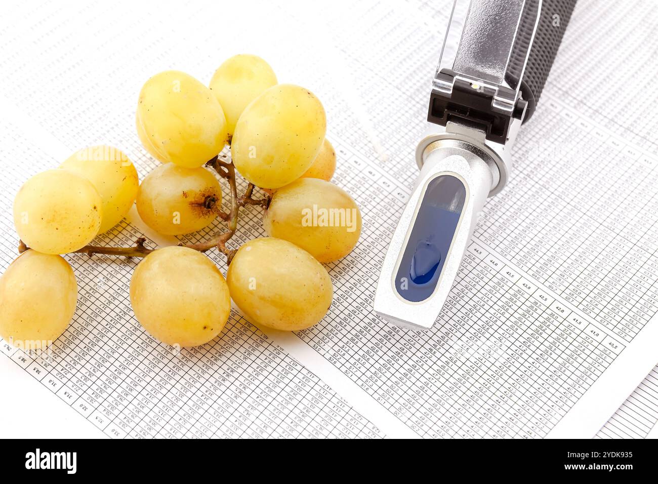 Rifrattometro ottico per misurare lo zucchero d'uva nella produzione di vino e di acquaviti. Messa a fuoco selettiva con profondità di campo ridotta. Foto Stock