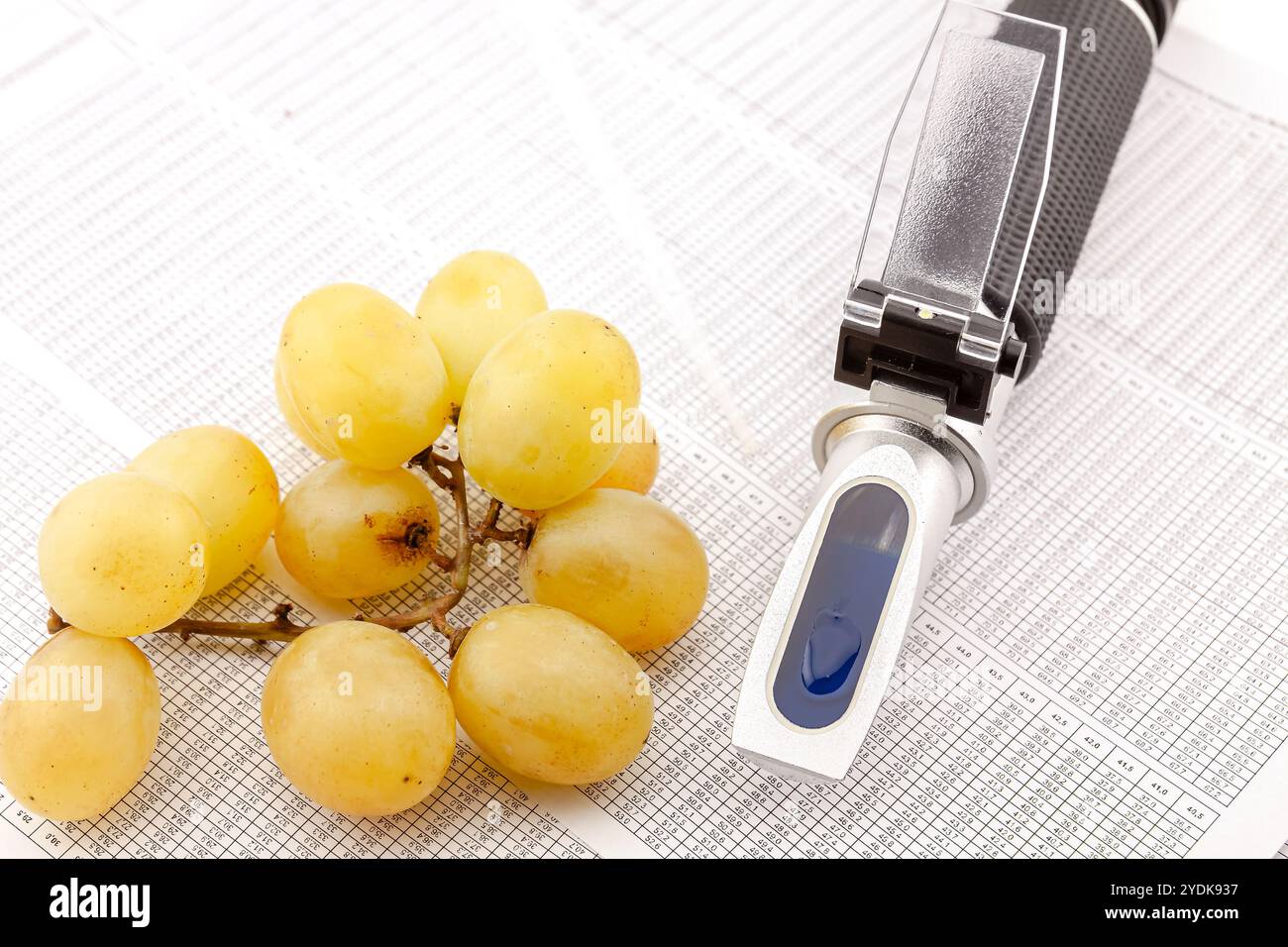 Rifrattometro ottico per misurare lo zucchero d'uva nella produzione di vino e di acquaviti. Messa a fuoco selettiva con profondità di campo ridotta. Foto Stock