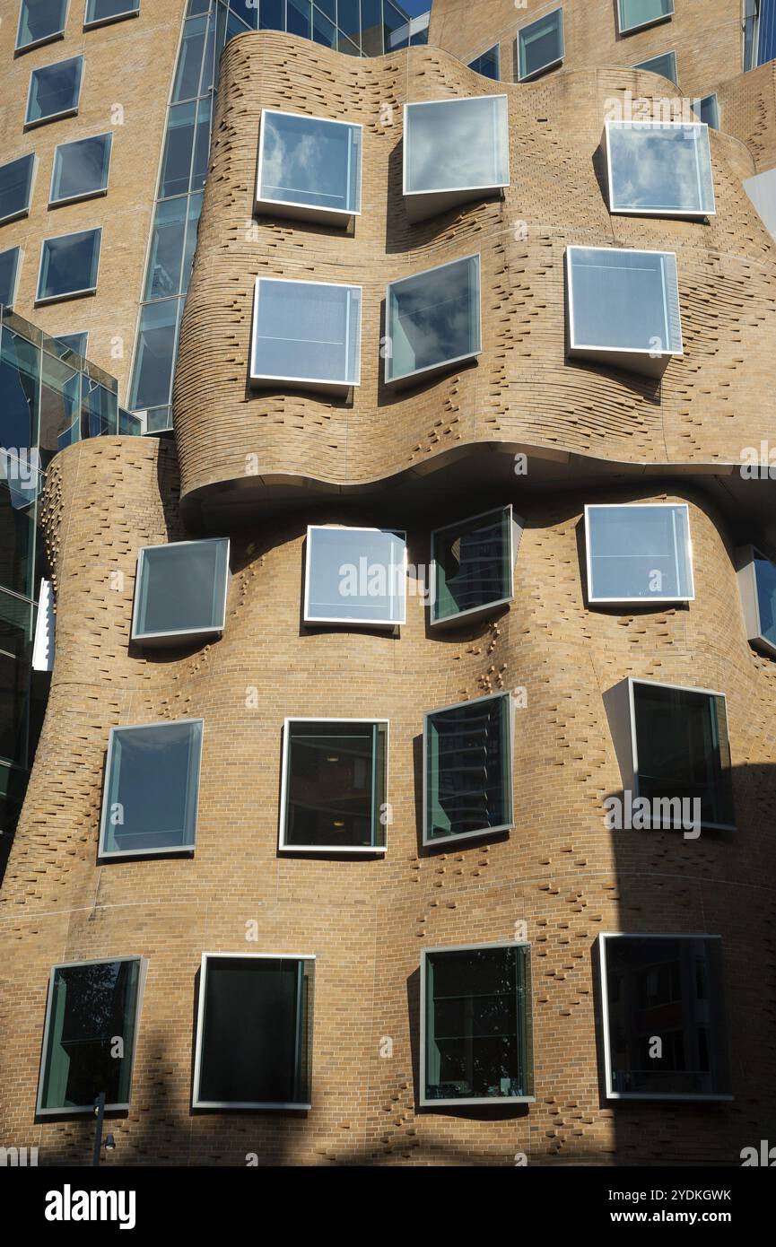 26.09.2019, Sydney, nuovo Galles del Sud, Australia, edificio del Dr Chau Chak Wing, che ospita la Business School della University of Technology UTS, desi Foto Stock