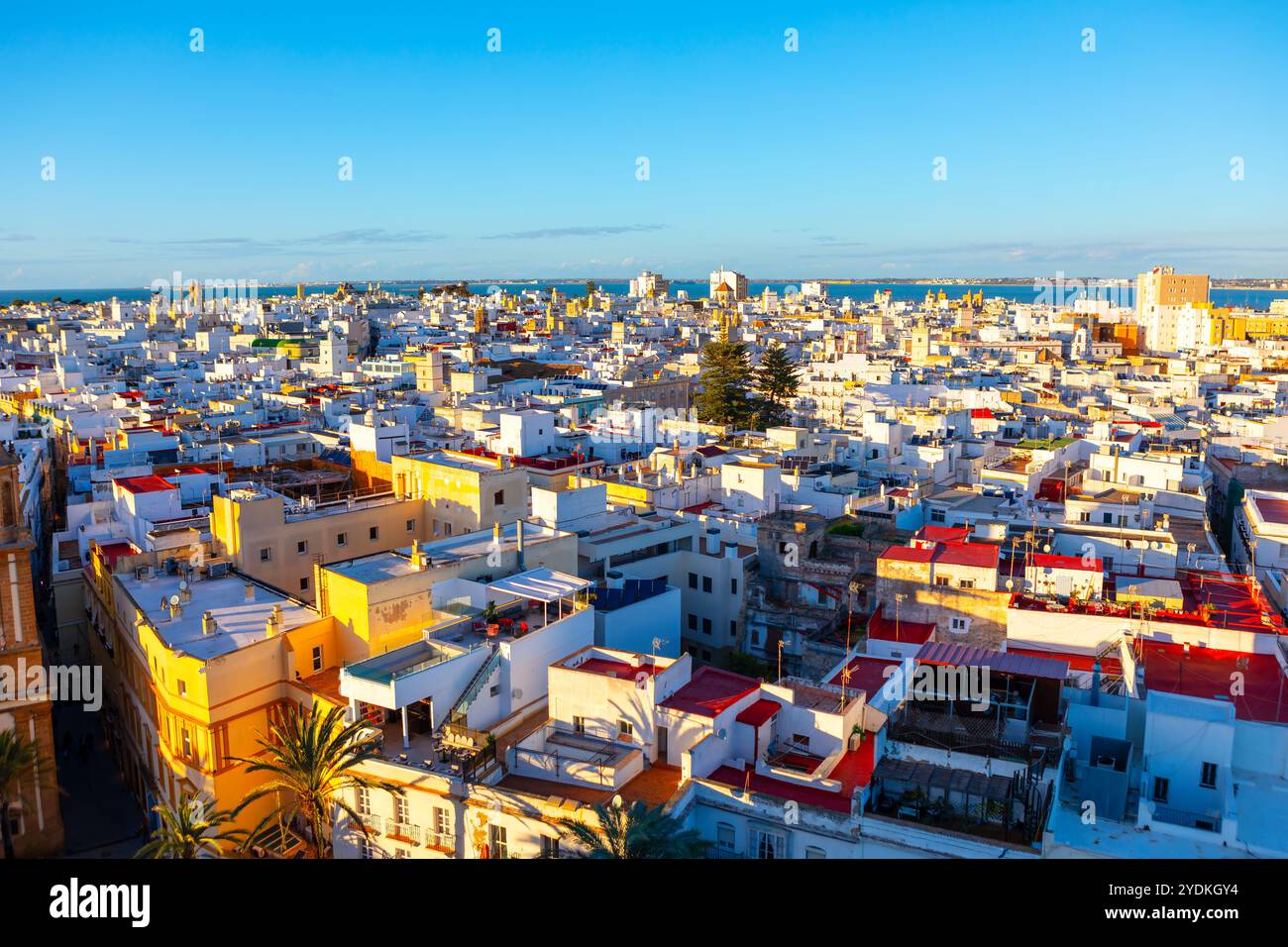 Veduta aerea della vibrante città spagnola di Cadice, con lo skyline pieno di numerosi edifici Foto Stock