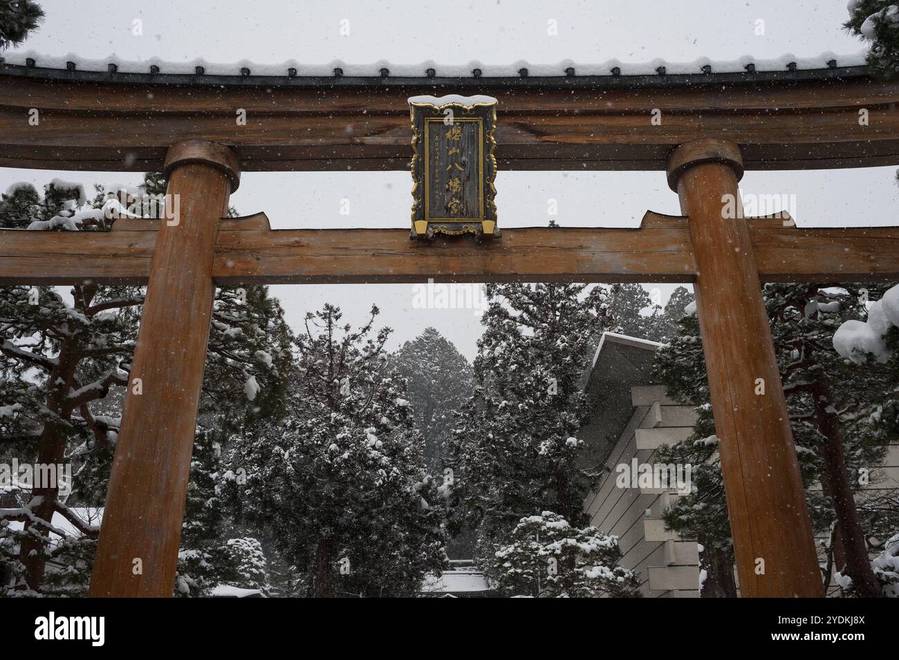 27.12.2017, Takayama, Gifu, Giappone, Asia, un portale torii in legno segna l'ingresso al santuario shintoista Sakurayama Hachimangu, Asia Foto Stock