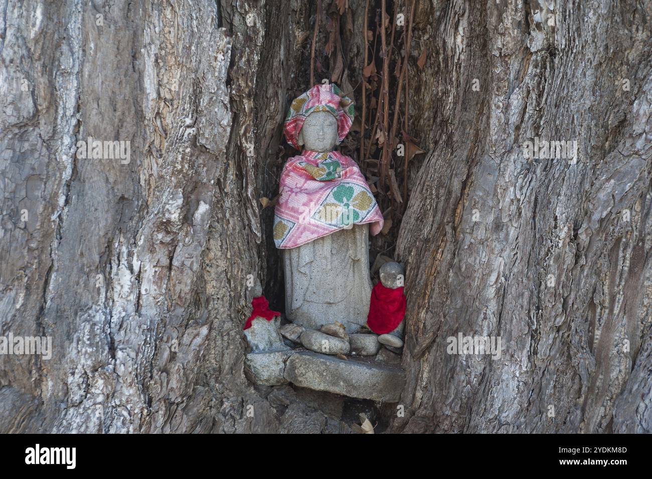 29.12.2017, Takayama, Gifu, Giappone, Asia, una statua in pietra di Jizo sorge in un albero gingko vecchio di 1200 anni sul terreno del tempio di Hida Kokubunji, in Asia Foto Stock