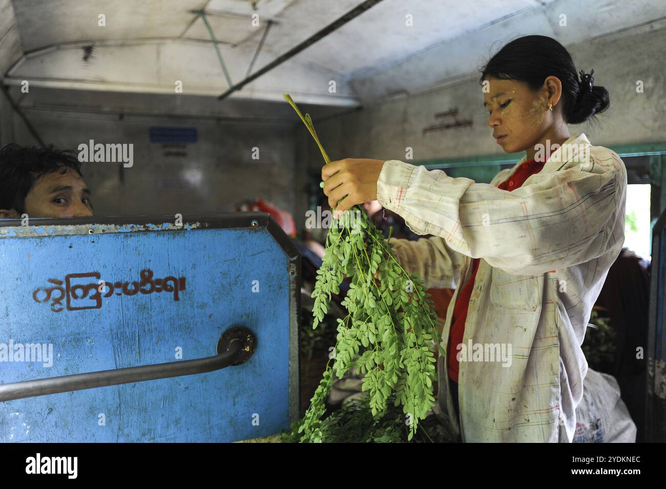 02.09.2013, Yangon, Repubblica dell'Unione di Myanmar, Asia, passeggeri in un compartimento ferroviario della ferrovia ad anello. La rete del? periferia locale Foto Stock