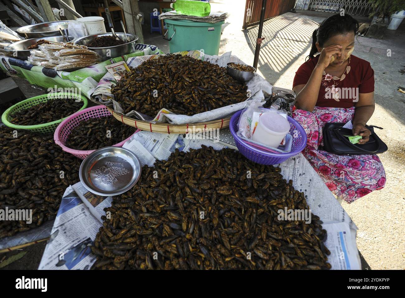 20 dicembre 2013, Yangon, Repubblica dell'Unione di Myanmar, Asia, Un venditore siede accanto al suo bancone che vende grilli arrostiti in un mercato di strada nel primo Foto Stock