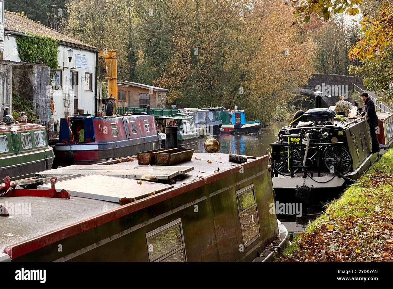 Barche strette ormeggiate al cantiere navale di Adlington vicino a Chorley, Lancashire, Regno Unito Foto Stock