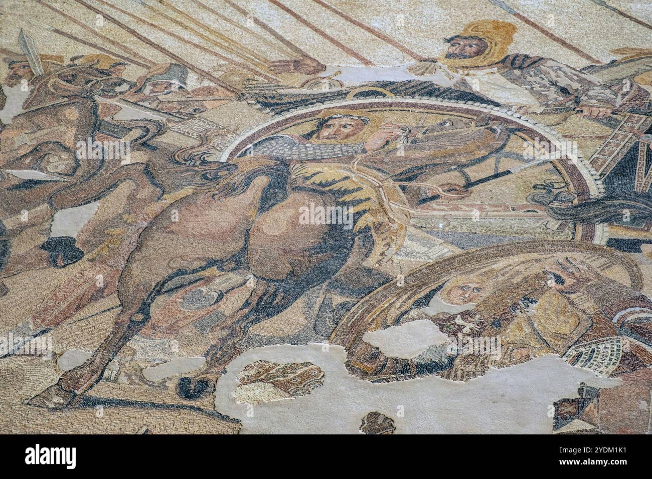 Sezione di un mosaico nella Casa dei Fauno, Pompei, Italia, raffigurante Dario III di Persia che cerca di rivolgere il suo carro ad Alessandro Magno. Foto Stock