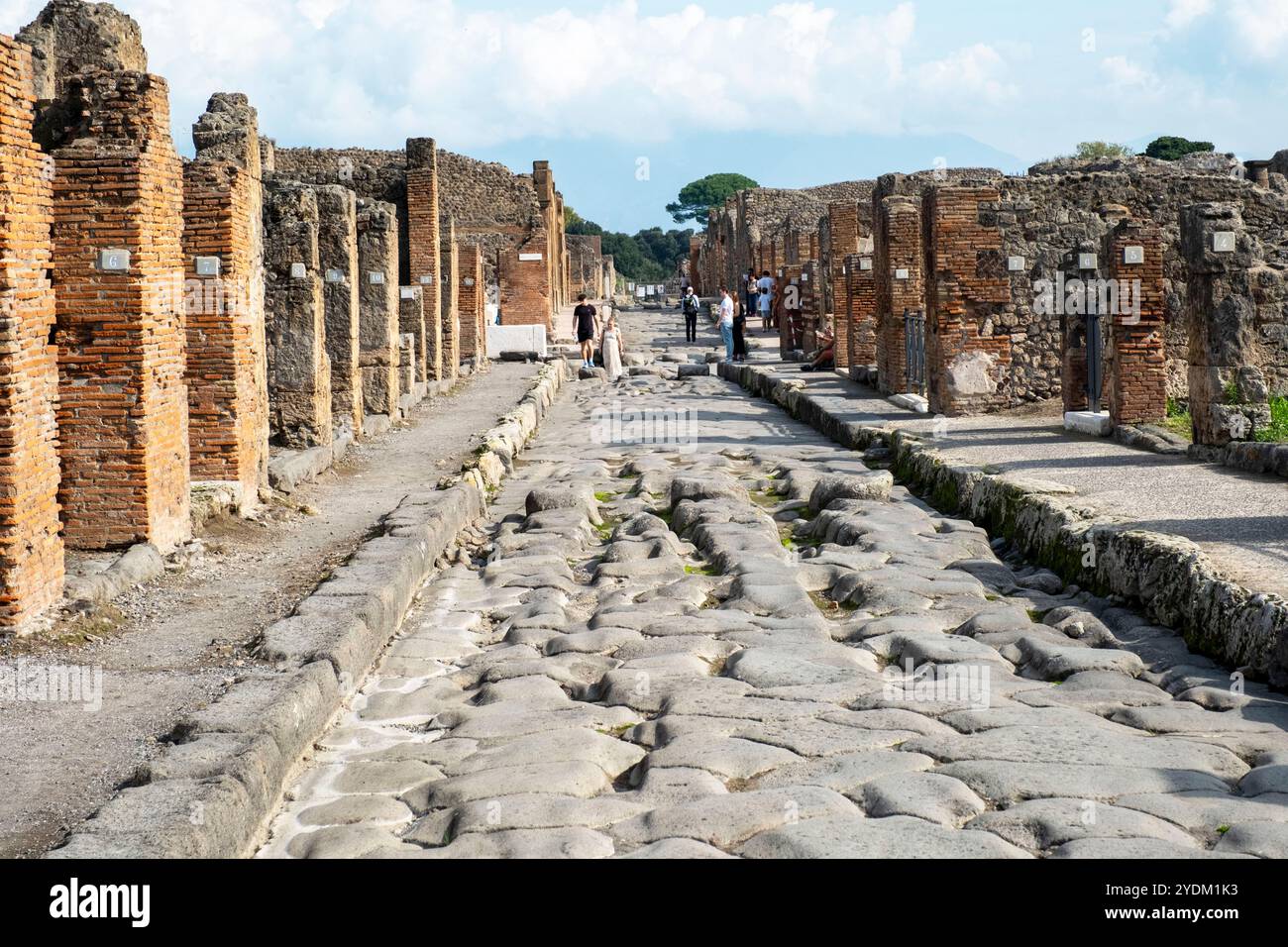 Strada lastricata di pietra che mostra solchi di carri e carri, Parco Archeologico di Pompei, Napoli, Italia. Foto Stock