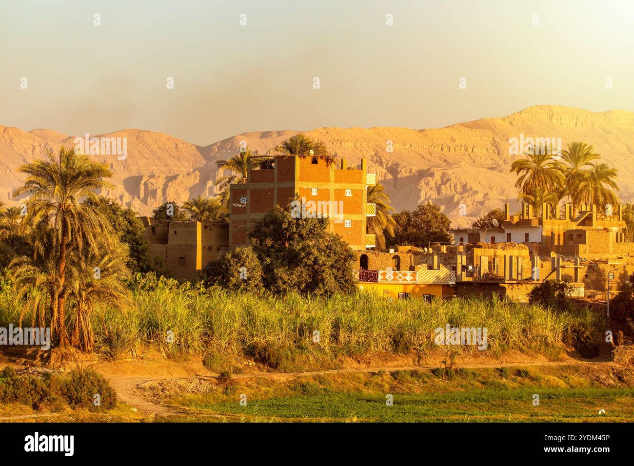 L'affascinante bellezza di Luxor al crepuscolo mentre scivoli lungo il fiume Nilo. La nostra tranquilla crociera offre una prospettiva unica dell'iconico antico Egitto Foto Stock