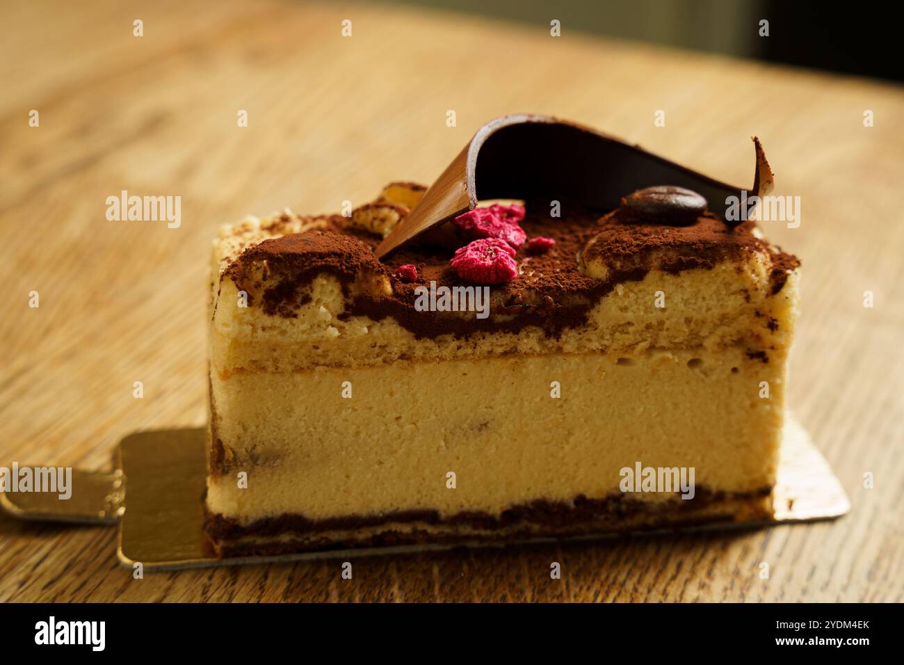 Primo piano di una deliziosa fetta di tiramisù, con strati di mascarpone cremoso e pan di Spagna imbevuto di caffè espresso, ricoperto di cacao in polvere e cioccolatini Foto Stock