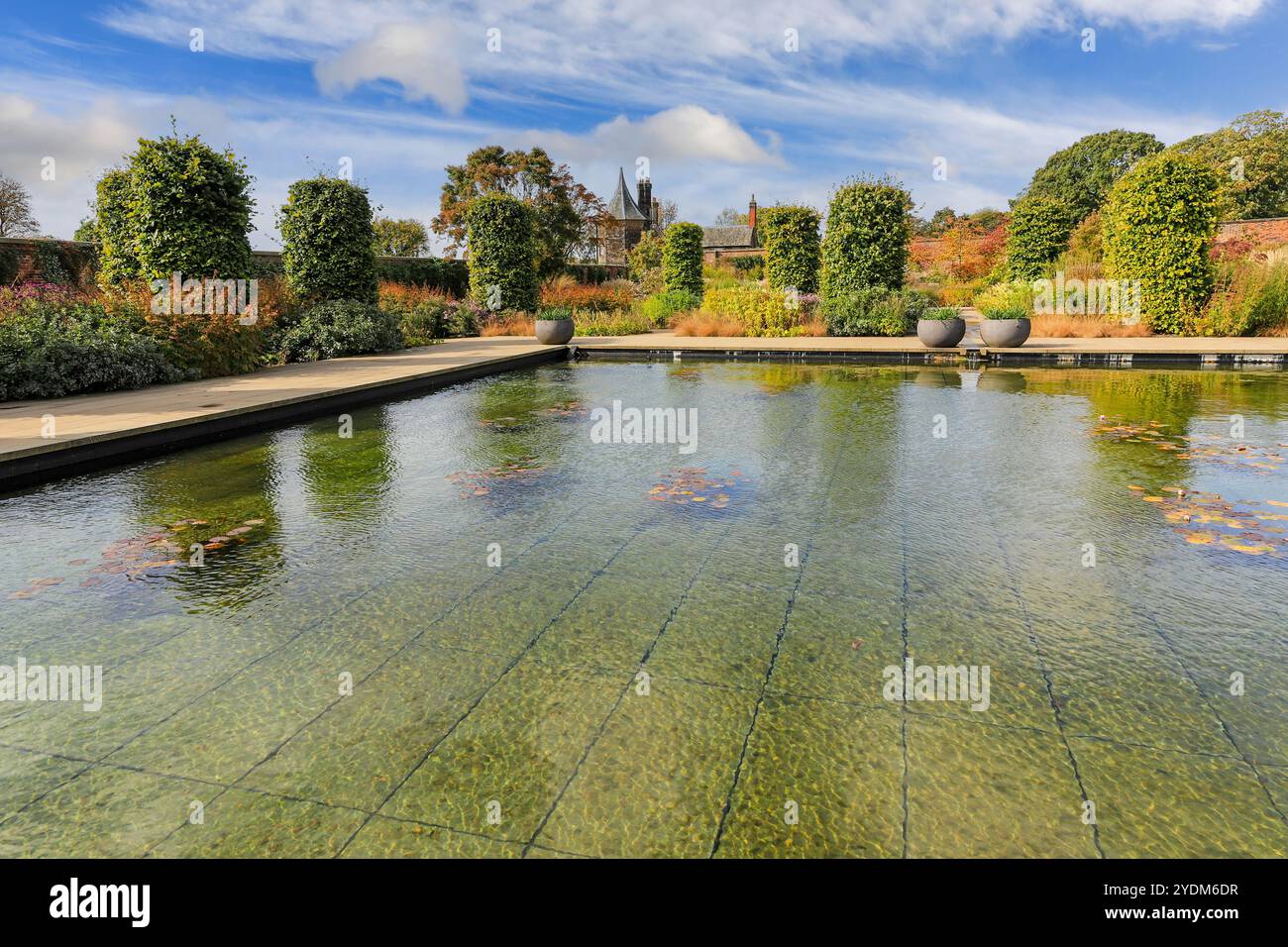 The Pond in the Paradise Garden presso RHS Garden Bridgewater Gardens, Worsley a Salford, Greater Manchester, Inghilterra, Regno Unito Foto Stock