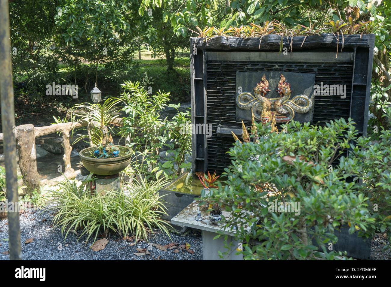 Santuario con motivi di drago colorati e piante tropicali in Thailandia Foto Stock