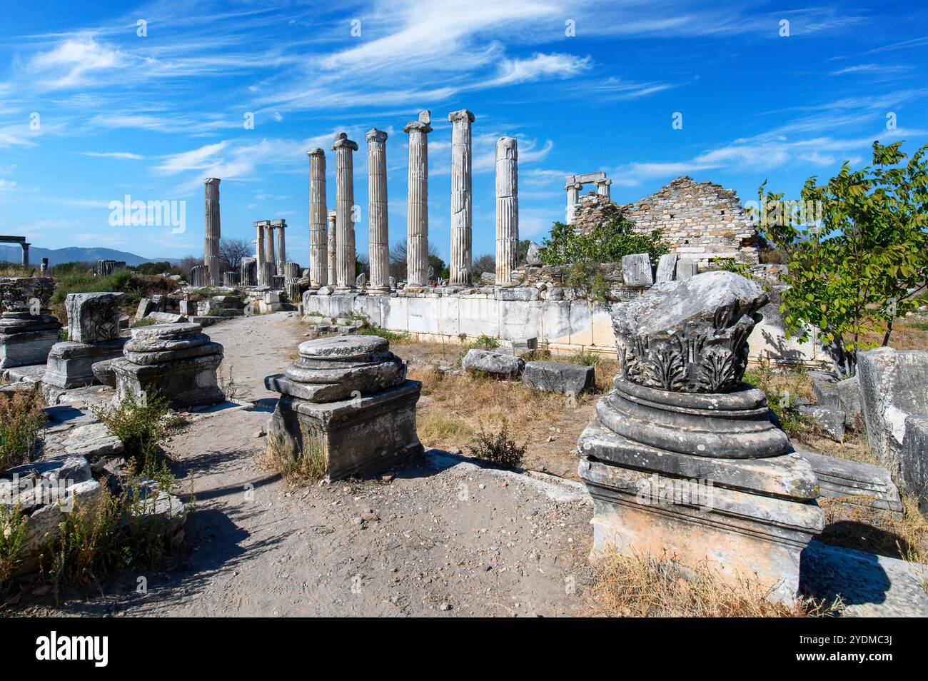 Le rovine di Afrodisia antica città (Afrodisias) in Turchia. La città prende il nome da Afrodite, la dea greca dell'amore Foto Stock