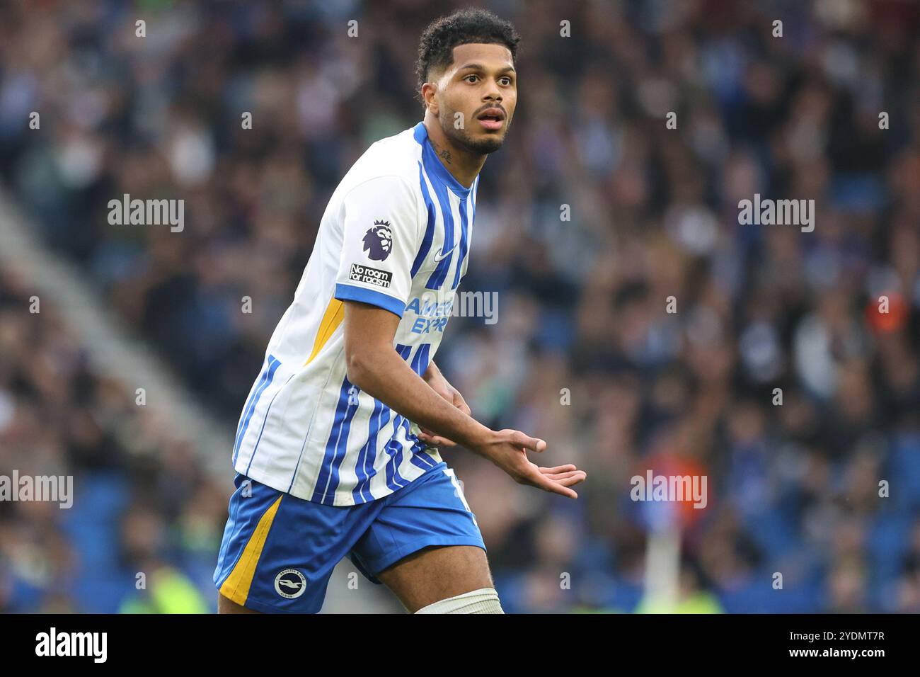 Georginio Rutter in azione per Brighton & Hove Albion all'AMEX Stadium Foto Stock