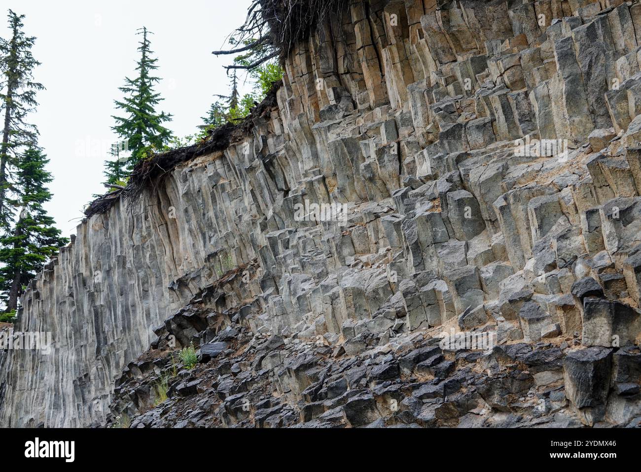 North Cascades National Park, zona di Mount Baker, Washington. Andecite colonnare formata dalla lava, appena fuori dalla strada per Artist Point, sopra l'Heather me Foto Stock