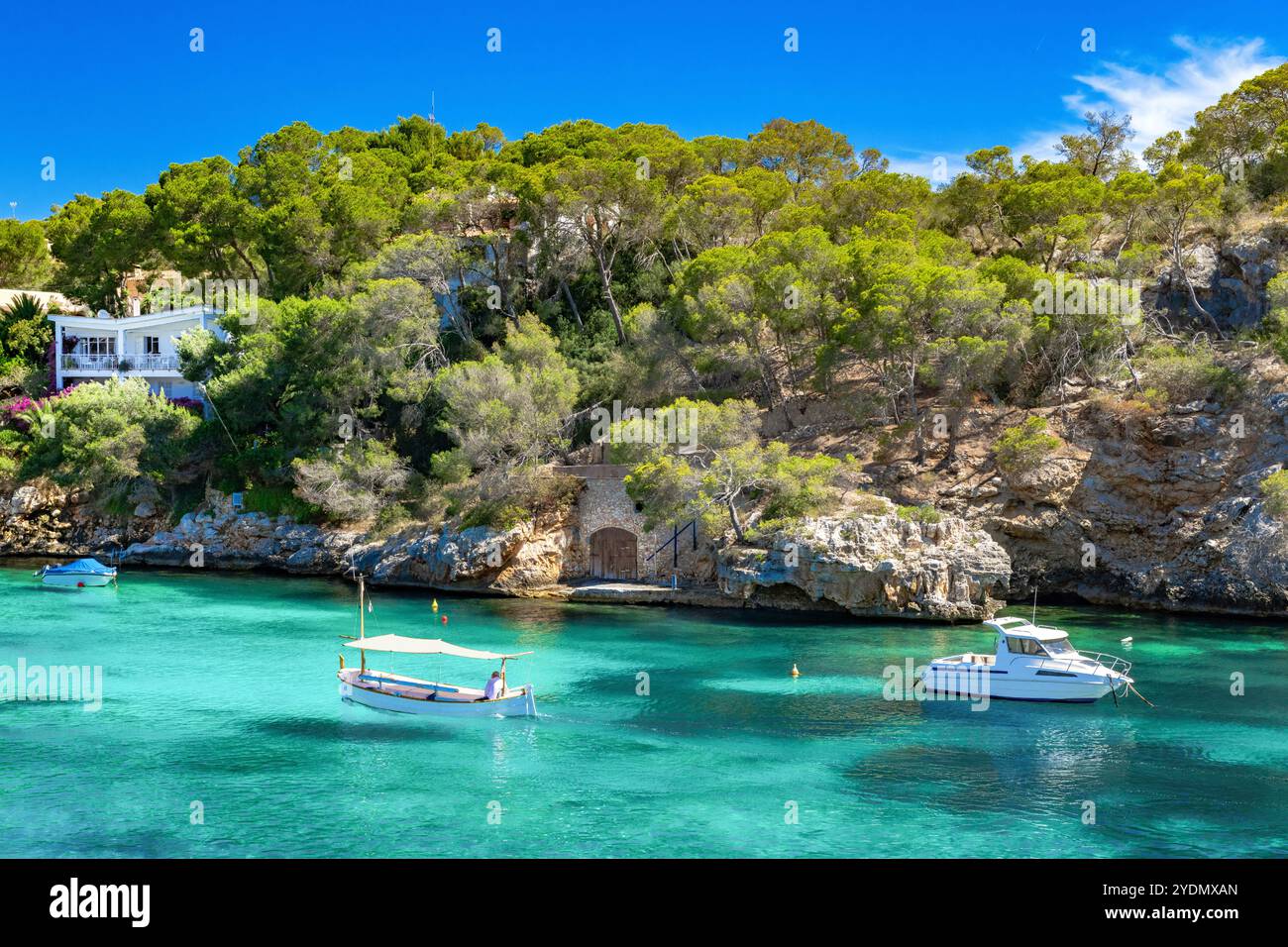 Splendida vista della costa rocciosa con pini e il mare turchese di Cala Figuera - Maiorca - 0022 Foto Stock