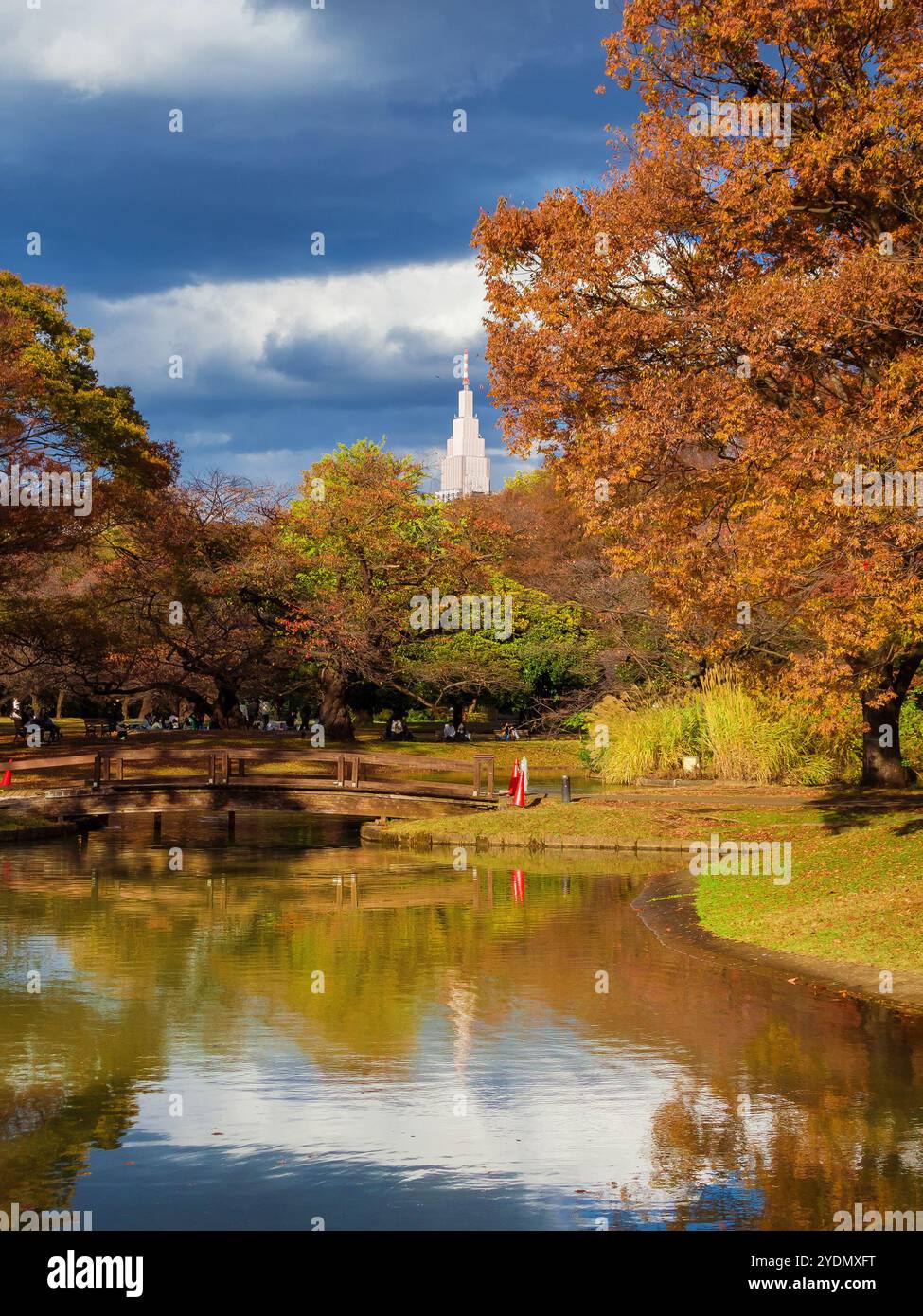 Autunno a Tokyo. Bellissime foglie autunnali nel parco Yoyogi, nel quartiere di Shibuya Foto Stock