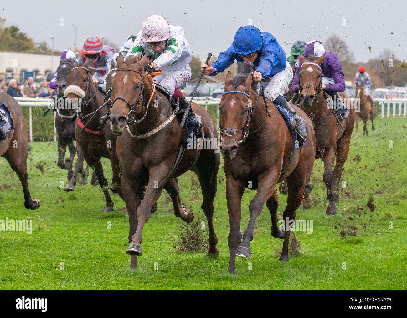 Cover Up vince il Century Racing Club Today handicap per John & Thady Gosden e il fantino William Buick all'ippodromo di Doncaster il 26 ottobre 2024 Foto Stock