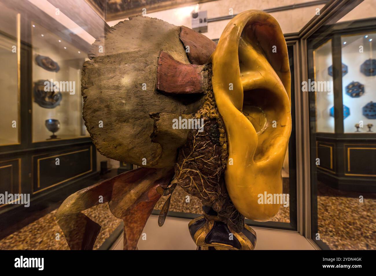 Piazza Antonio Scaravilli, Bologna, Emilia-Romagna, Italia Foto Stock
