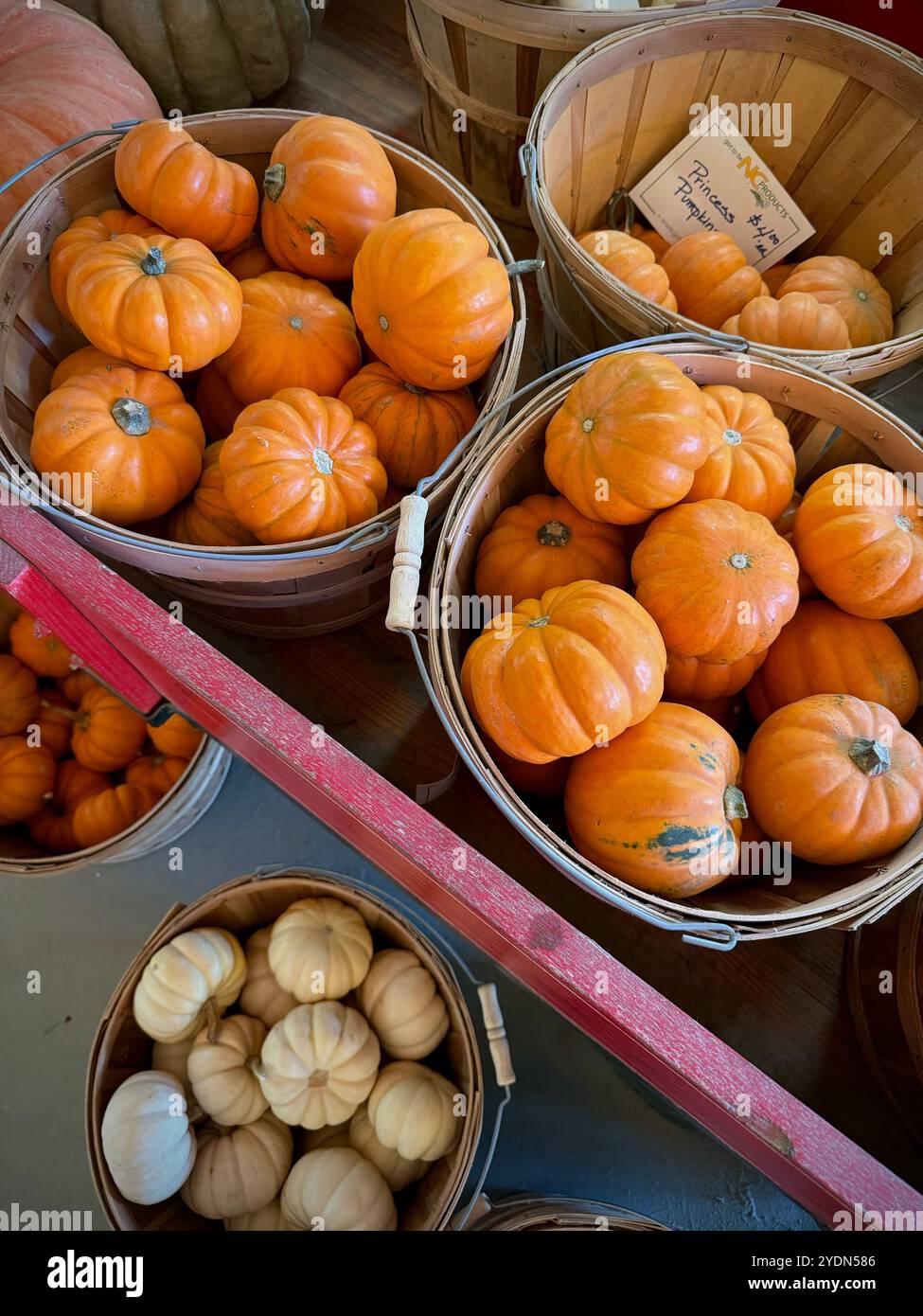 Cesti di legno pieni di mini zucche di arancio brillante e cremose gourde bianche in un mercato agricolo locale. Perfetto per l'arredamento autunnale e per gli allestimenti stagionali Foto Stock