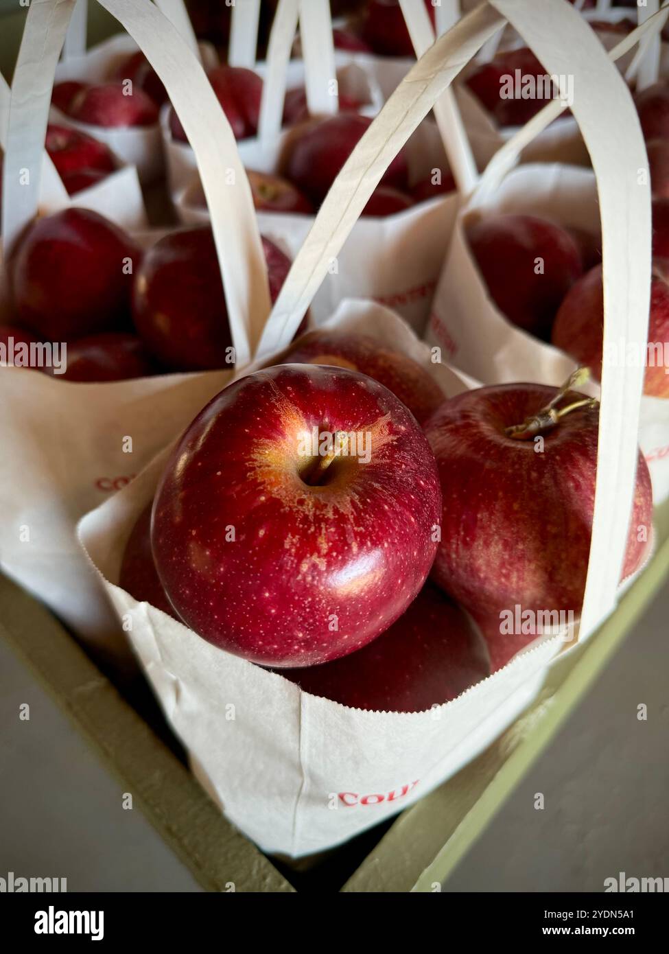Mele rosse brillanti in sacchetti rustici, pronte per esposizioni autunnali, ricette stagionali o spuntini freschi. Perfetto per i mercati agricoli, arredamento autunnale. - Immagine stock catturata con smartphone