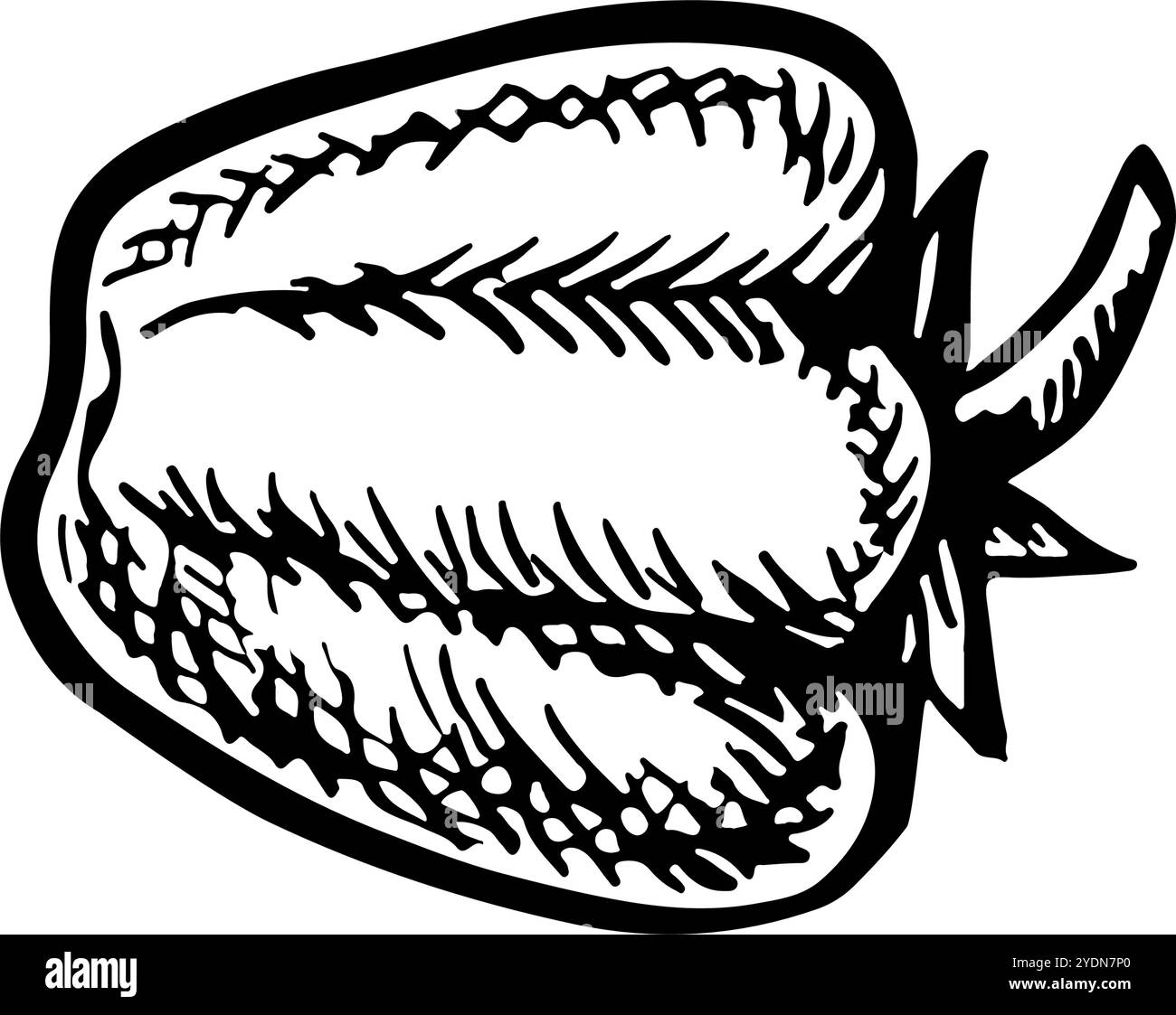 Pepe dolce. Grafica vettoriale con l'immagine di una verdura. Un'illustrazione in bianco e nero del cibo disegnata a mano. Su sfondo bianco. Per i menu, post Illustrazione Vettoriale Pepe dolce. Grafica vettoriale con l'immagine di una verdura. Un'illustrazione in bianco e nero del cibo disegnata a mano. Su sfondo bianco. Per i menu, post Illustrazione Vettoriale