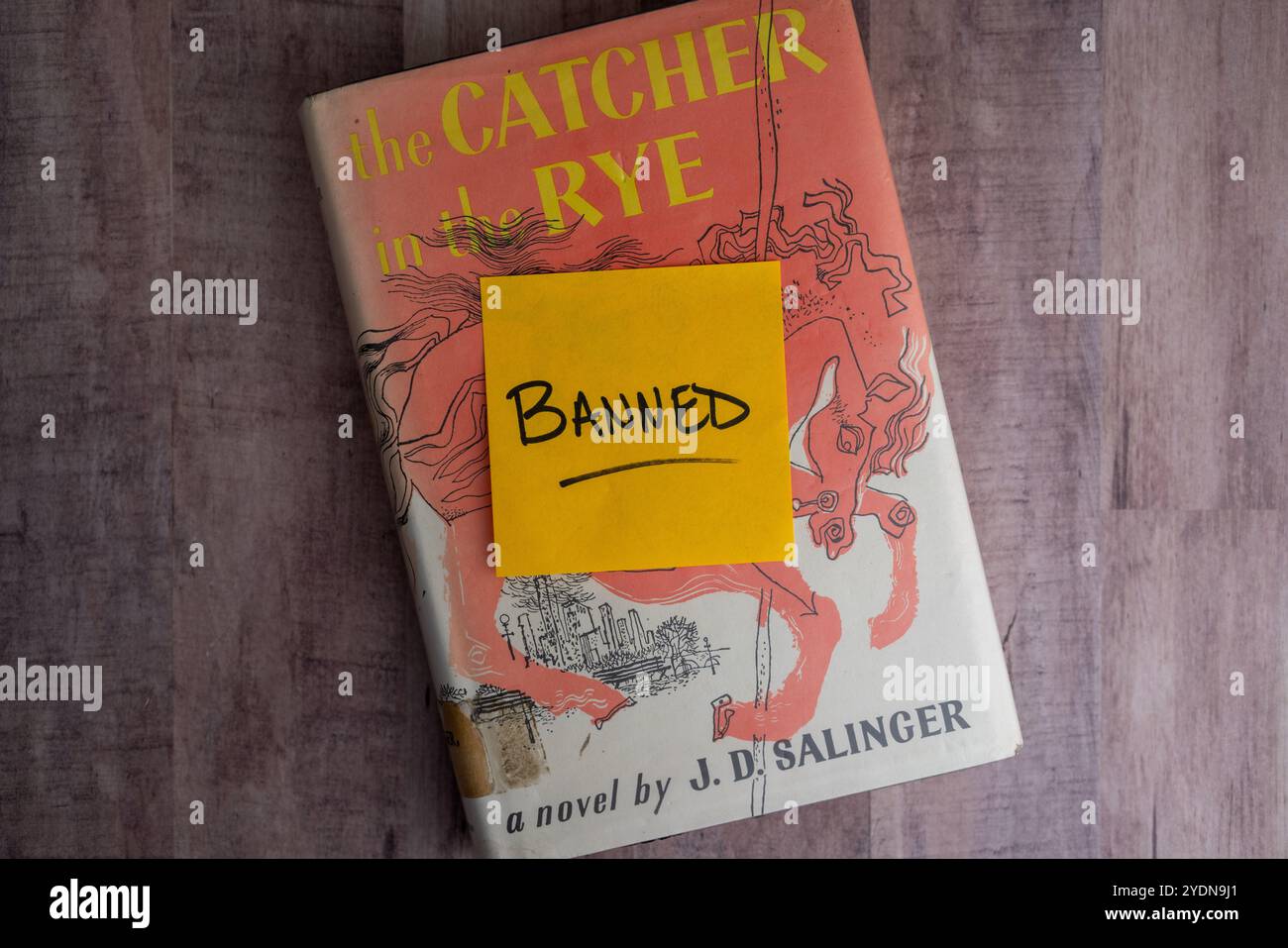 Una copia di The Catcher in the Rye di JD Salinger. Il libro è stato inserito nelle liste vietate di alcune scuole e biblioteche. Foto Stock
