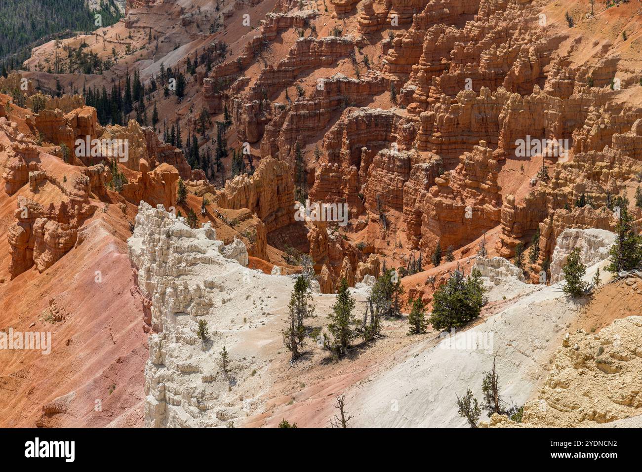 Hoodoos nell'anfiteatro del Cedar Breaks National Monument dal North View Lookout Foto Stock