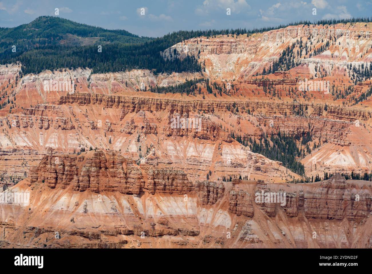 Vista panoramica del Cedar Breaks National Monument dal Sentiero dei bastioni lungo il bordo dell'anfiteatro Foto Stock