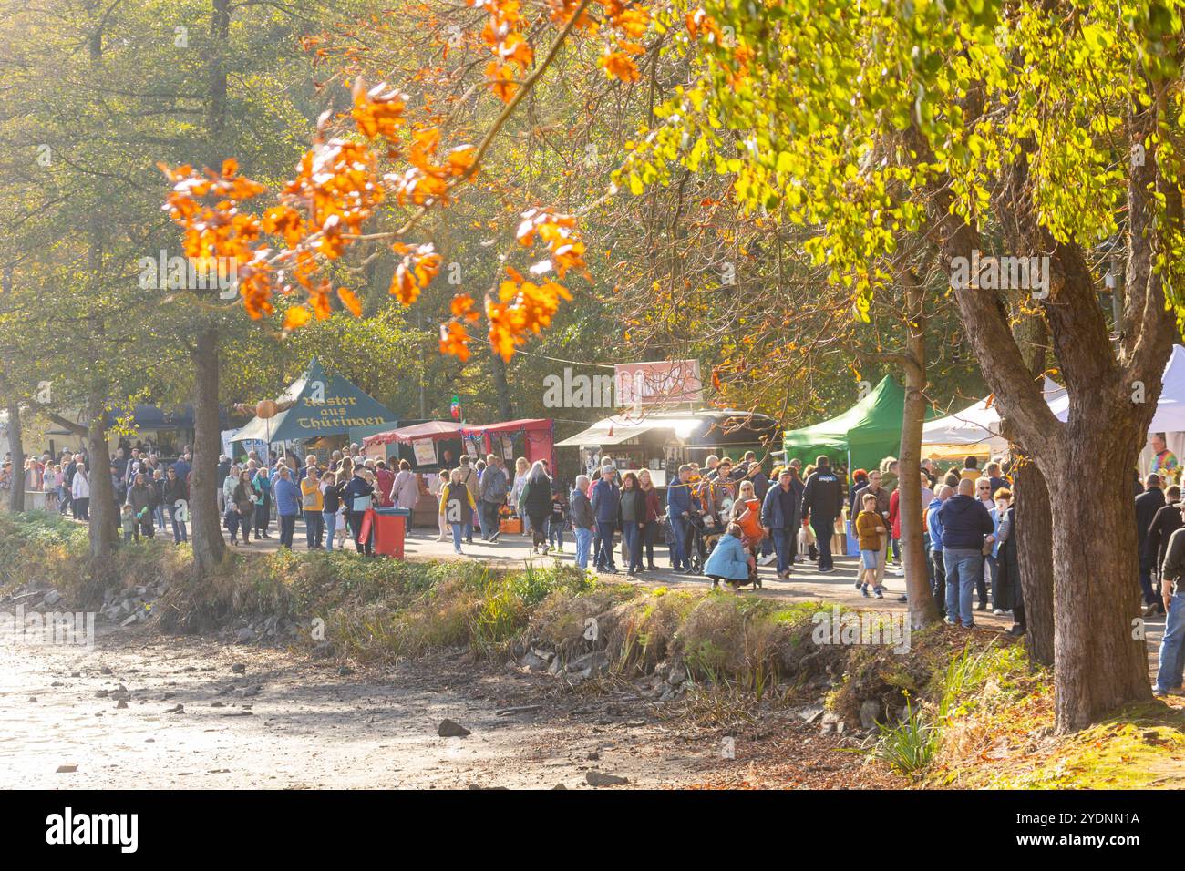 Fisch- und Waldfest Moritzburg Fisch- und Waldfest Moritzburg, Markttreiben Moritzburg Sachsen Deutschland *** Festa della pesca e della foresta Moritzburg Festival della pesca e della foresta Moritzburg, eventi del mercato Moritzburg Sassonia Germania Foto Stock