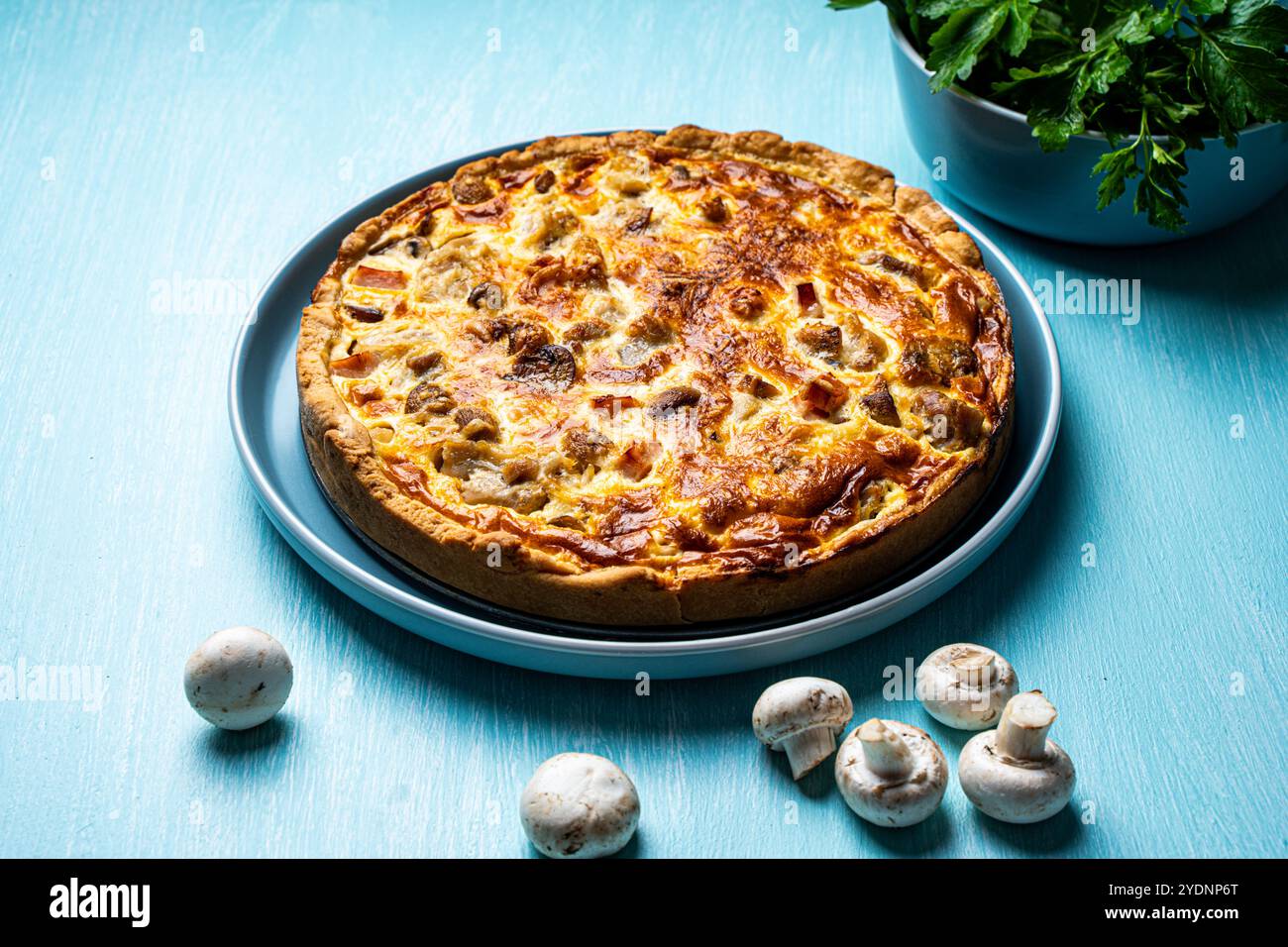 Quiche Laurent secondo una ricetta tradizionale francese. Torta di pollo e funghi su un piatto blu con prezzemolo e parmigiano su un backgroun blu Foto Stock