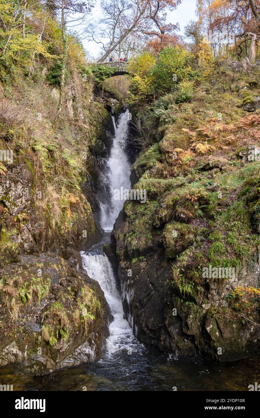 Cascata Aira Force in pieno flusso attraverso la campagna autunnale del Lake District, Cumbria, Inghilterra. Foto Stock