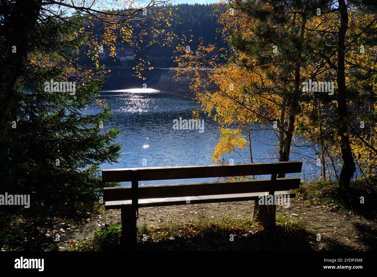 Sitzbank im Herbst an der Talsperre Schmalwasser im Thüringer Wald, 26.10.2024 Tambach-Dietharz Thüringen Deutschland *** Bench in the Fall at the Sch Foto Stock
