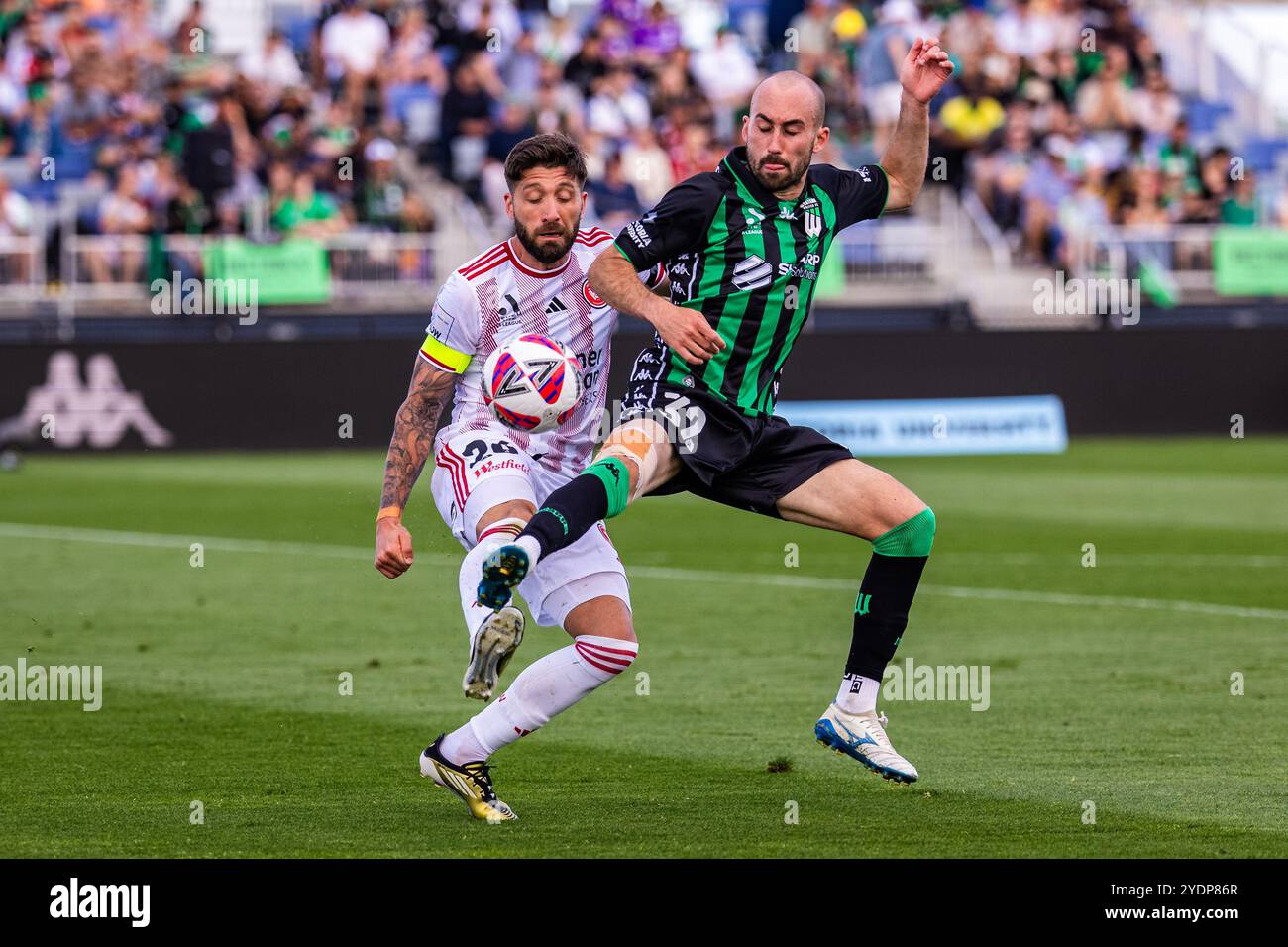 Melbourne, Australia, 27 ottobre 2024. Angus Thurgate del Western United FC e Brandon Borrello del Western Sydney Wanderers FC durante la seconda giornata della partita di calcio maschile Isuzu Ute A-League tra Western United FC e Western Sydney Wanderers FC all'Ironbark Fields Tarneit il 27 ottobre 2024 a Melbourne, Australia. Crediti: Santanu Banik/Speed Media/Alamy Live News Foto Stock