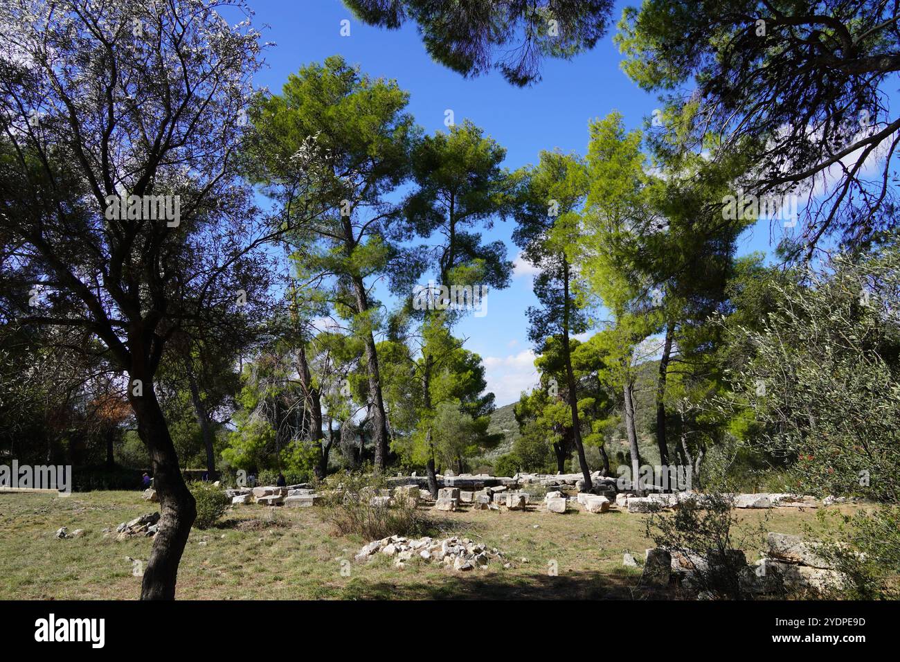 Vista delle rovine dell'antico santuario di Asclepio a Epidavros, Grecia Foto Stock