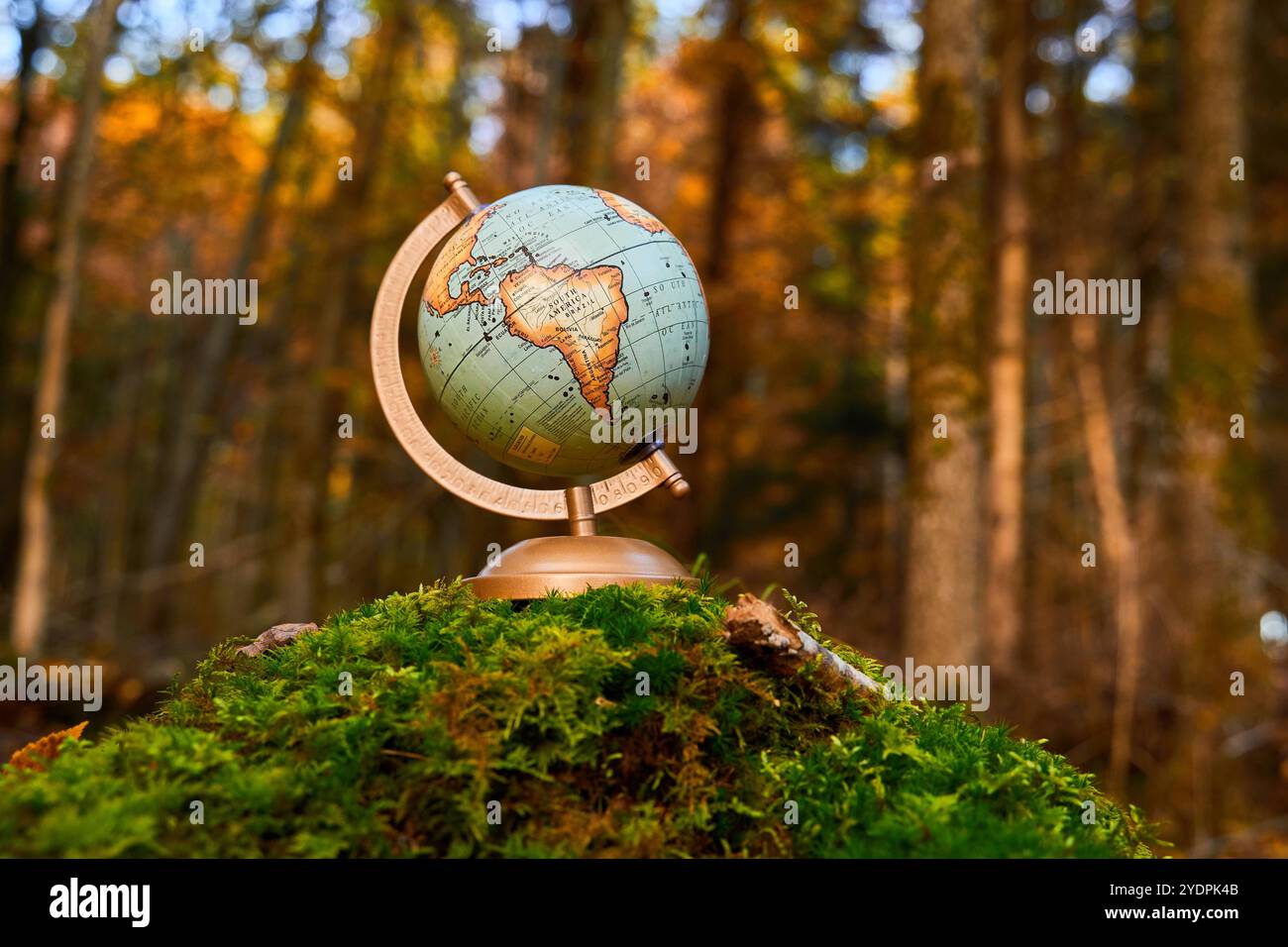 Baviera, Germania - 27 ottobre 2024: Un globo nella foresta. Immagine simbolica delle iniziative ESG e del perseguimento degli obiettivi climatici globali *** Ein Globus im Wald. Symbolbild ESG-Initiativen und das Streben nach globalen Klimazielen Foto Stock
