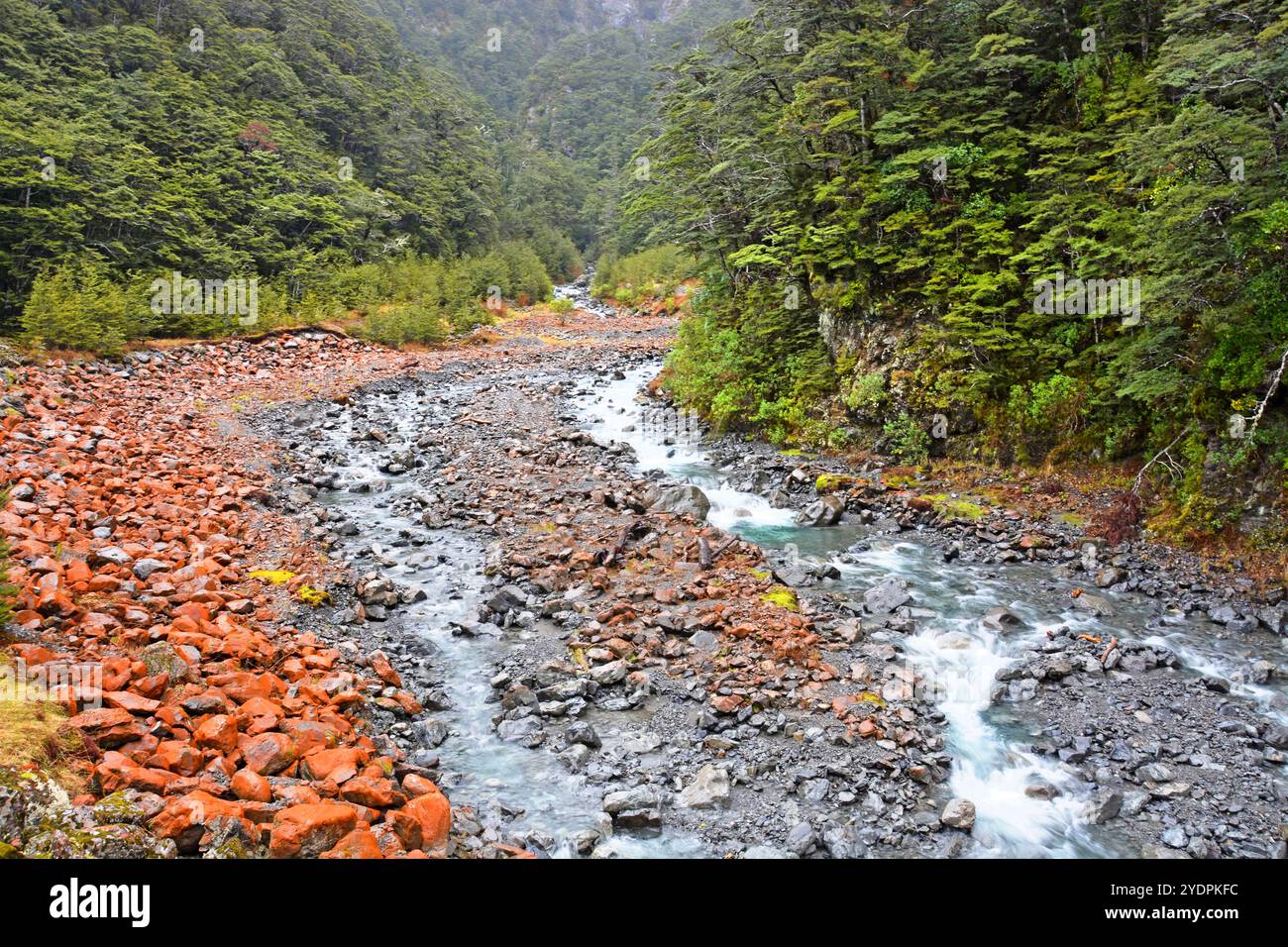 Arthurs Pass distintive rocce rosse, fiumi e faggi in una giornata di primavera umida a Canterbury, nuova Zelanda. Foto Stock