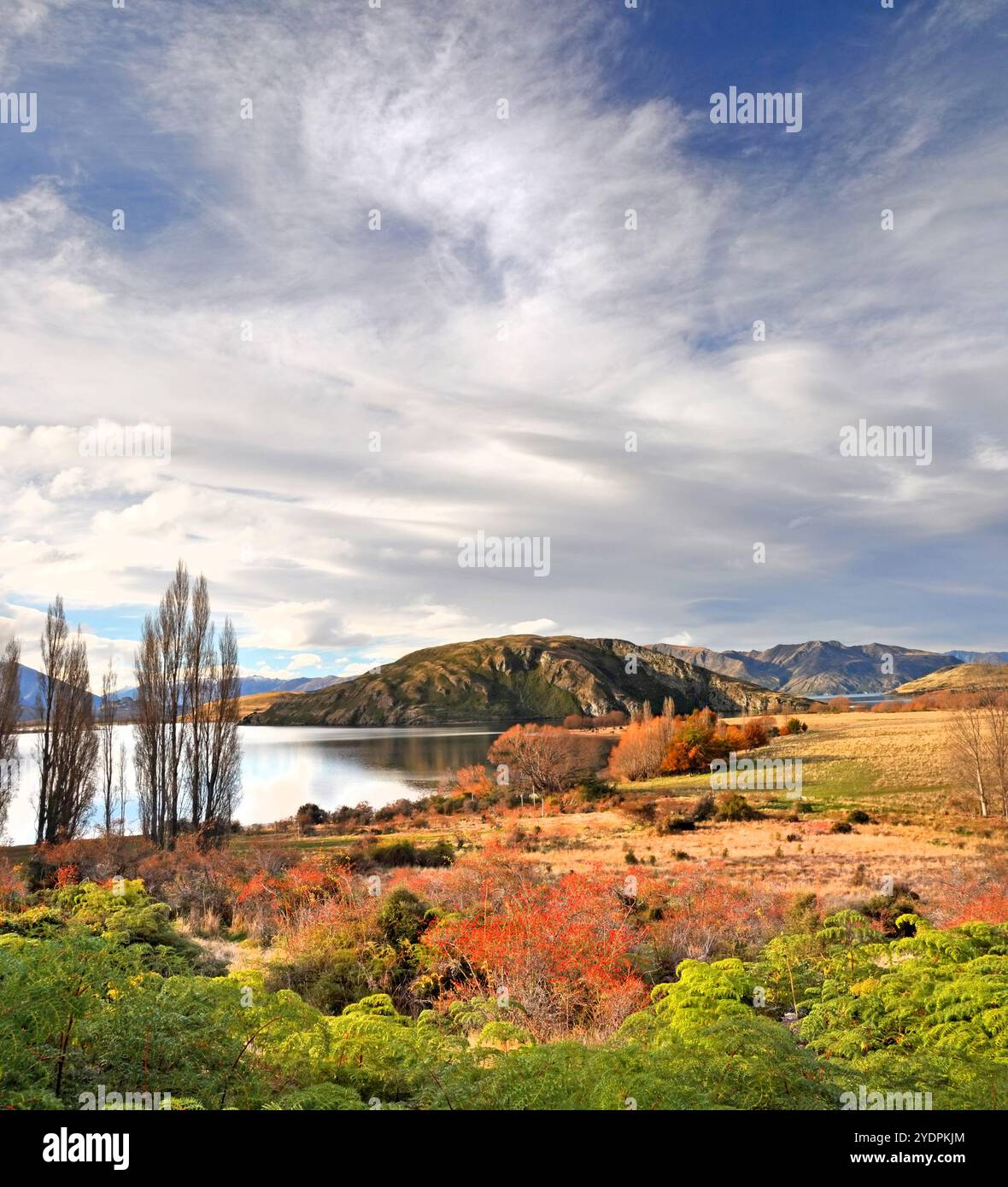 Verticale vista panoramica del Lago Wanaka in autunno. In primo piano sono verdi felci nativo e red rose selvatiche Hip cespugli. In fondo è una dramat Foto Stock