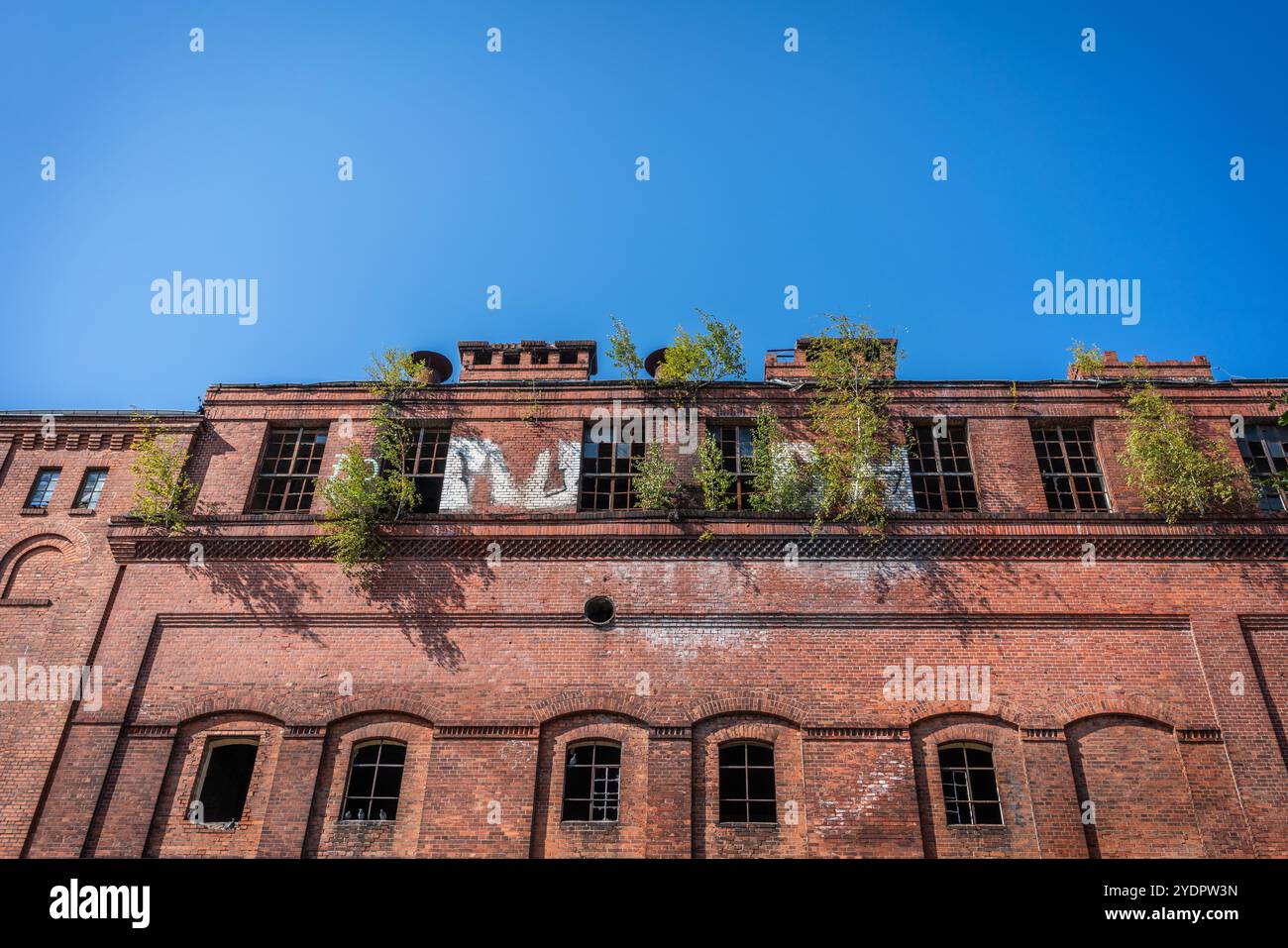 Alberi e arbusti verdi crescono sulla facciata di un vecchio edificio abbandonato / abbandonato in mattoni rossi a Berlino, Germania, Europa Foto Stock