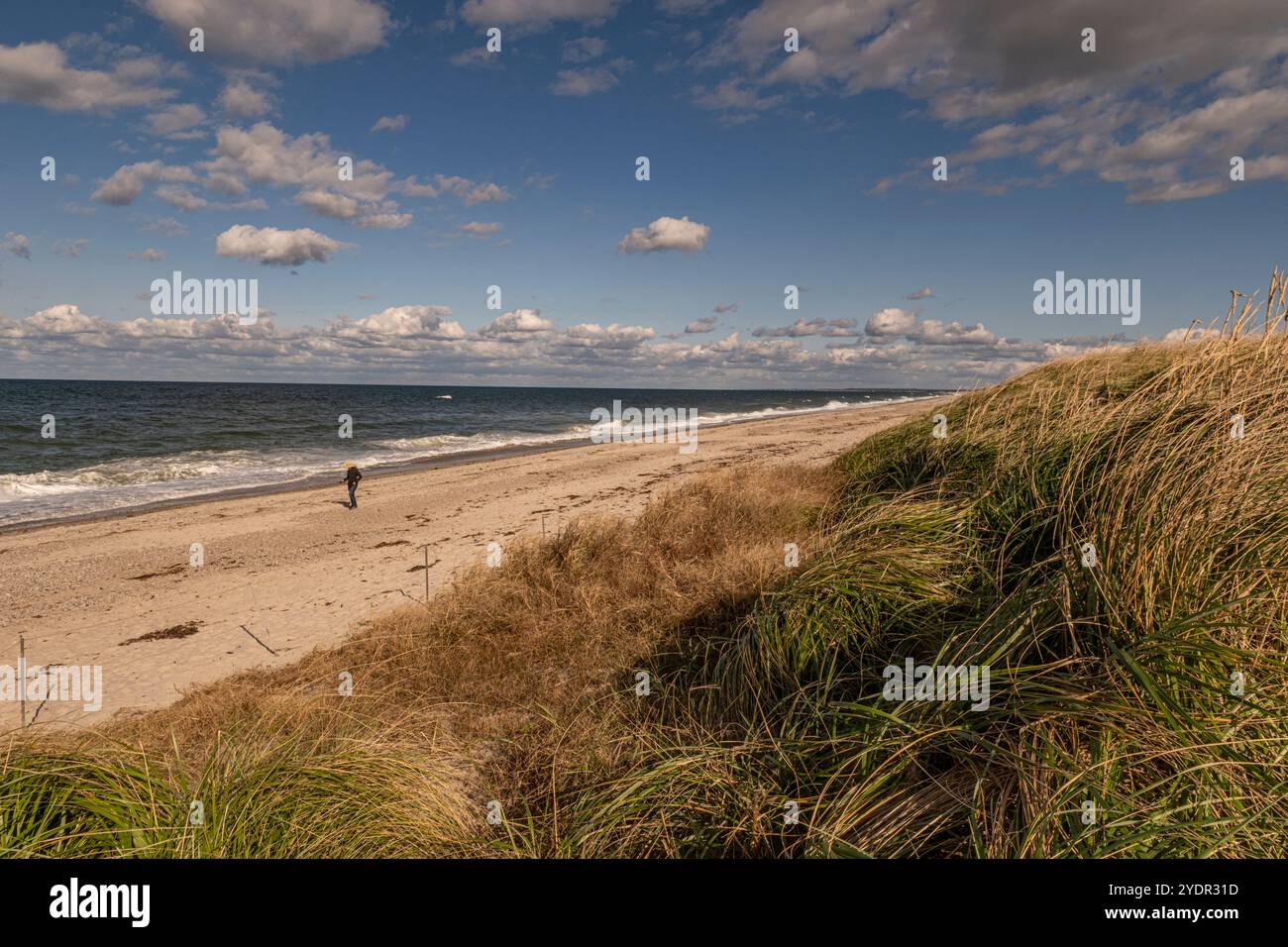 Sandy Neck Beach a Barnstable, Massachusetts Foto Stock