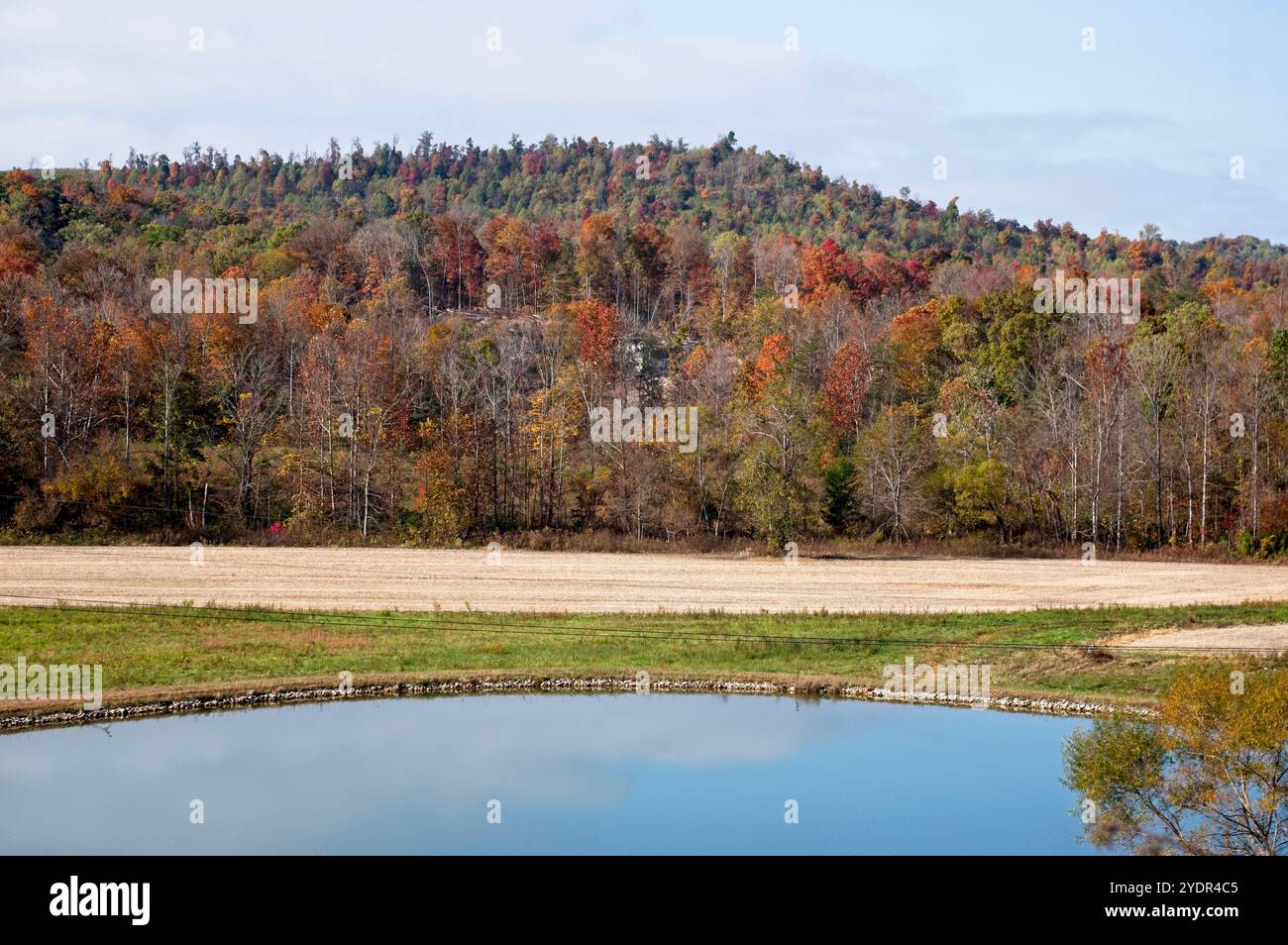 Terreno agricolo con collina e stagno in autunno Foto Stock