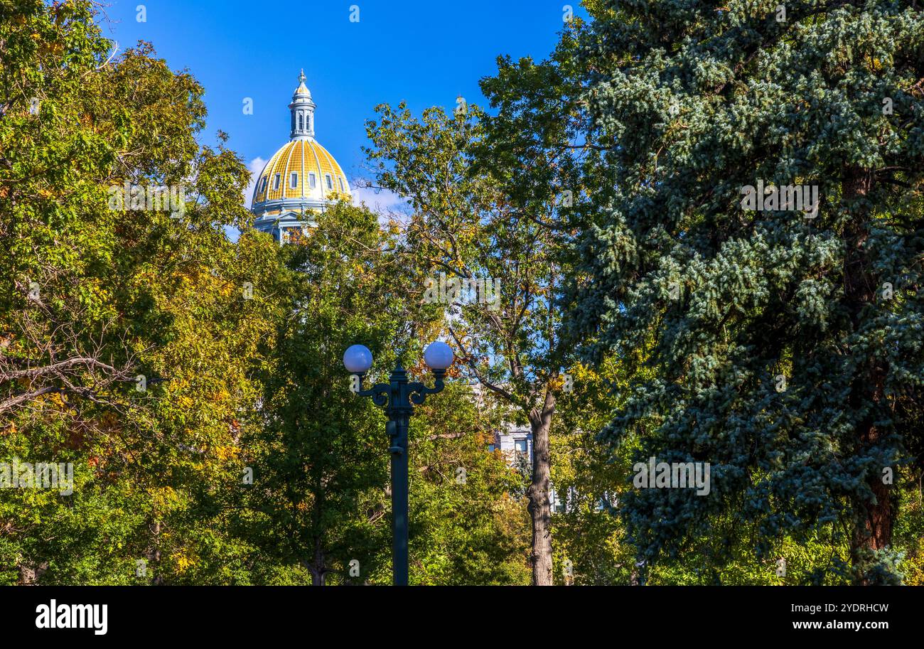 Sede del Campidoglio dello stato del Colorado con alberi autunnali a Denver, Colorado Foto Stock