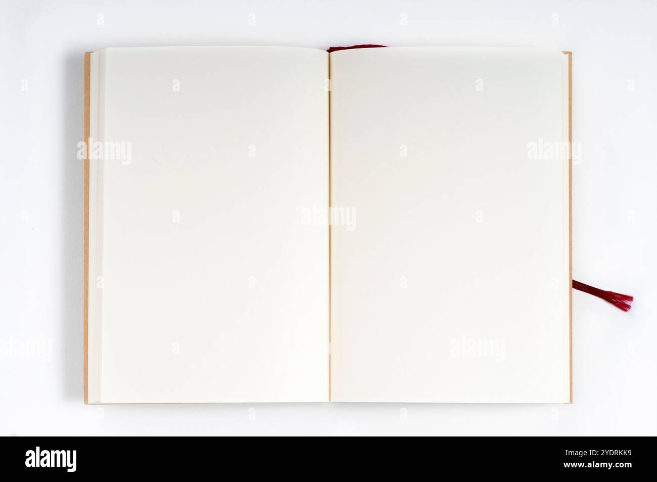 Notebook bianco con diffusione Foto Stock