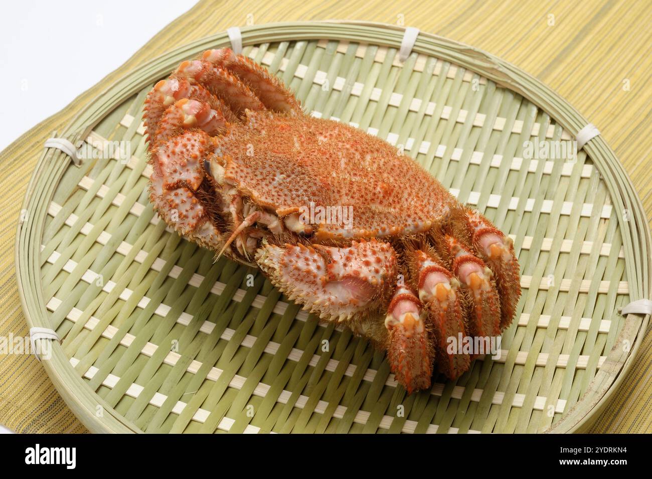 Granchio peloso Foto Stock