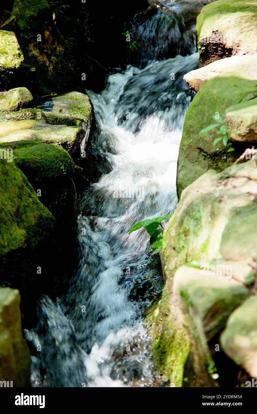 Flusso d'acqua Foto Stock