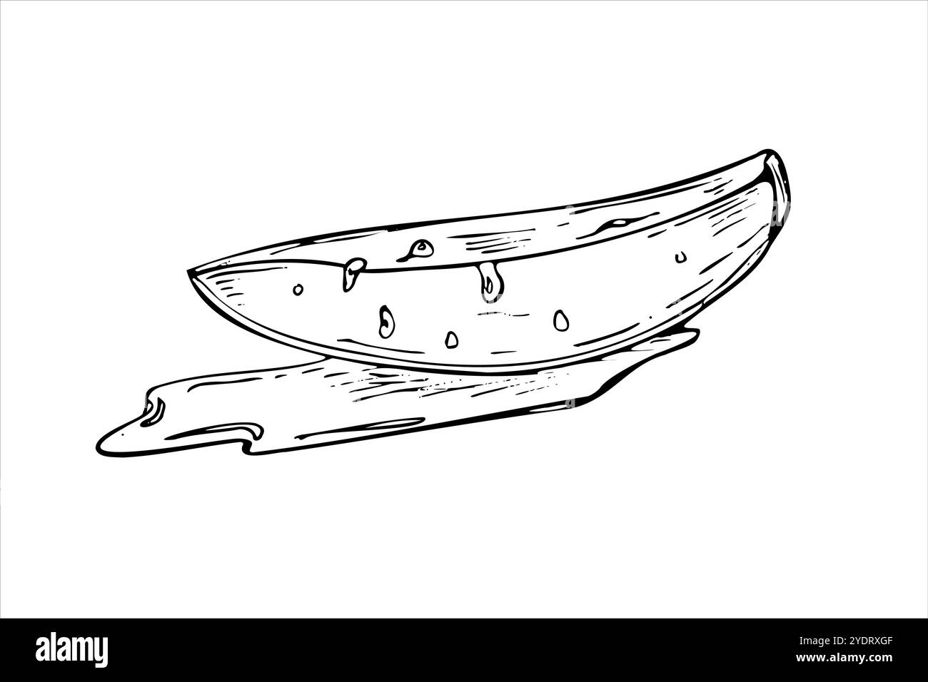 Fetta di mango monocromatica vettoriale in gocce di succo e schizzi d'acqua schizzo disegnato a mano dipinto con inchiostri neri. Ingrediente estivo di frutta tropicale per insalata Illustrazione Vettoriale