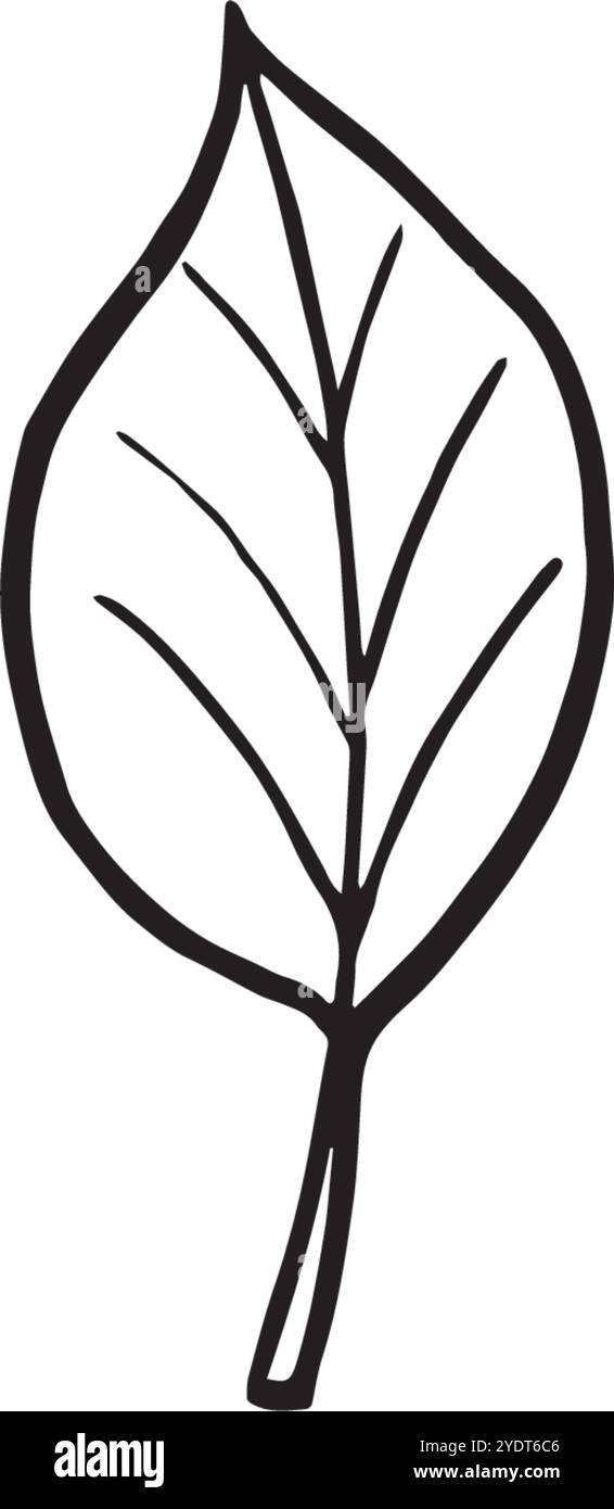 Schizzo di foglie d'albero. Illustrazione della linea grafica vettoriale, disegnata a mano isolata. Scarabocchio bianco e nero di fogliame. Foresta e parco, natura canadese Illustrazione Vettoriale