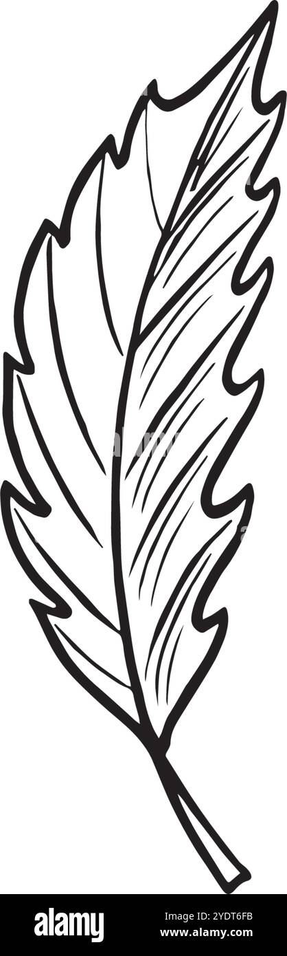 Schizzo di foglie d'albero. Illustrazione della linea grafica vettoriale, disegnata a mano isolata. Scarabocchio bianco e nero di fogliame. Foresta e parco, natura canadese Illustrazione Vettoriale