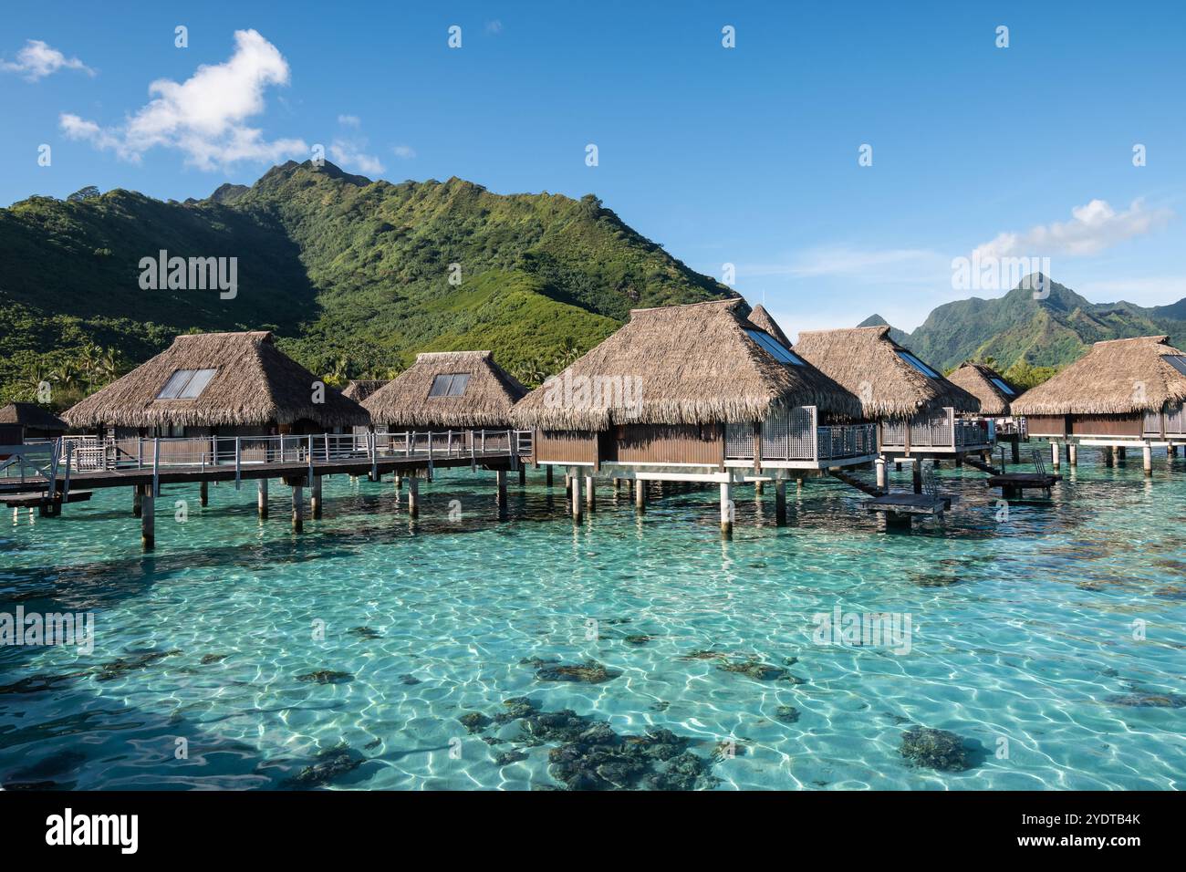 Tropical Overwater Bungalow Resort a Moorea. Foto Stock