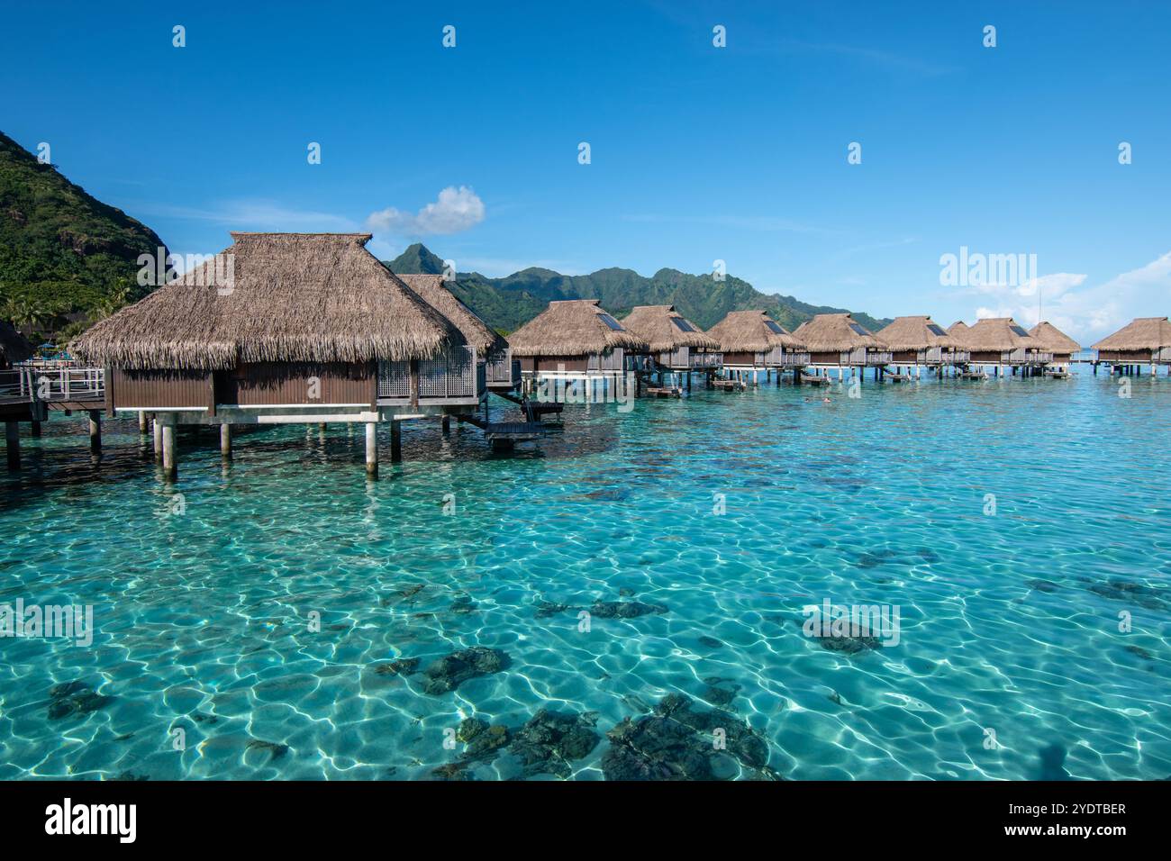 Moorea Lagoon Landscape con bungalow sull'acqua, Polinesia francese. Foto Stock