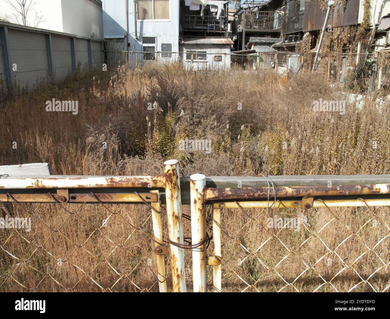 Lotto vuoto diserbato Foto Stock